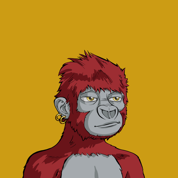 An image of Lil Rilla 11