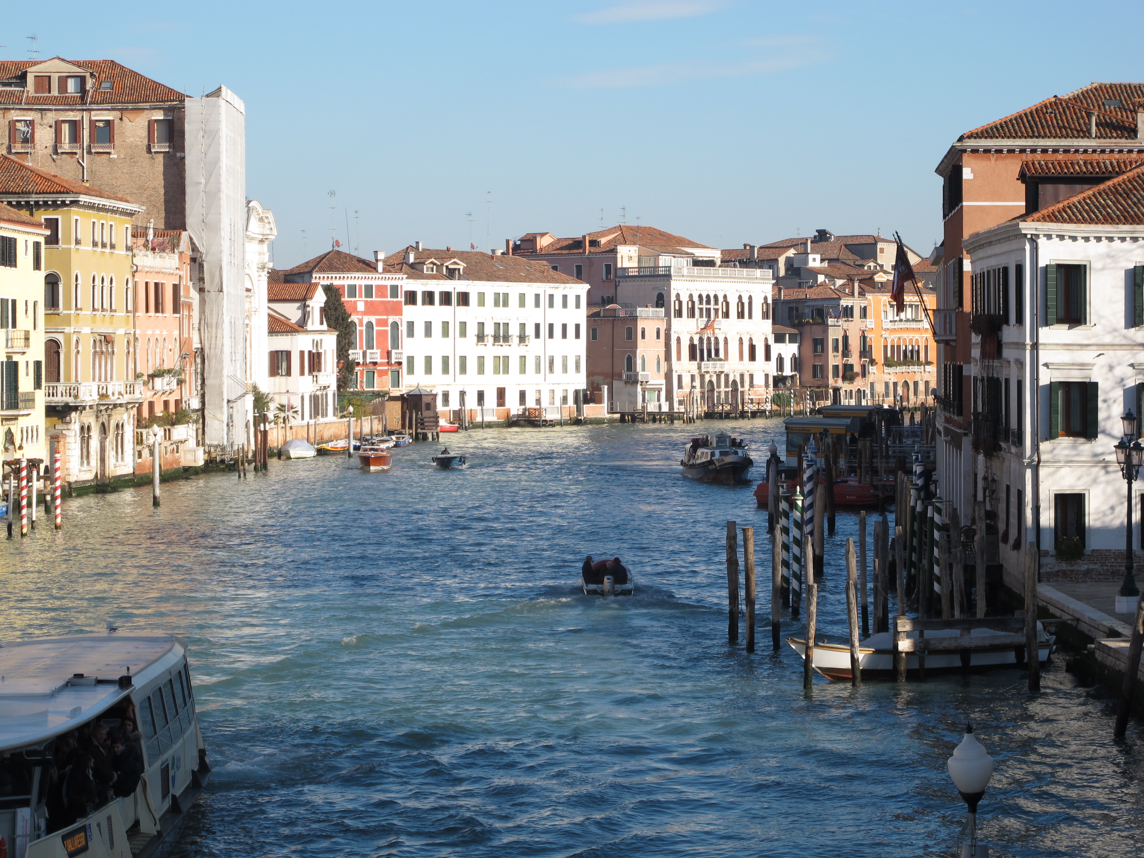 venice NFT on Algorand