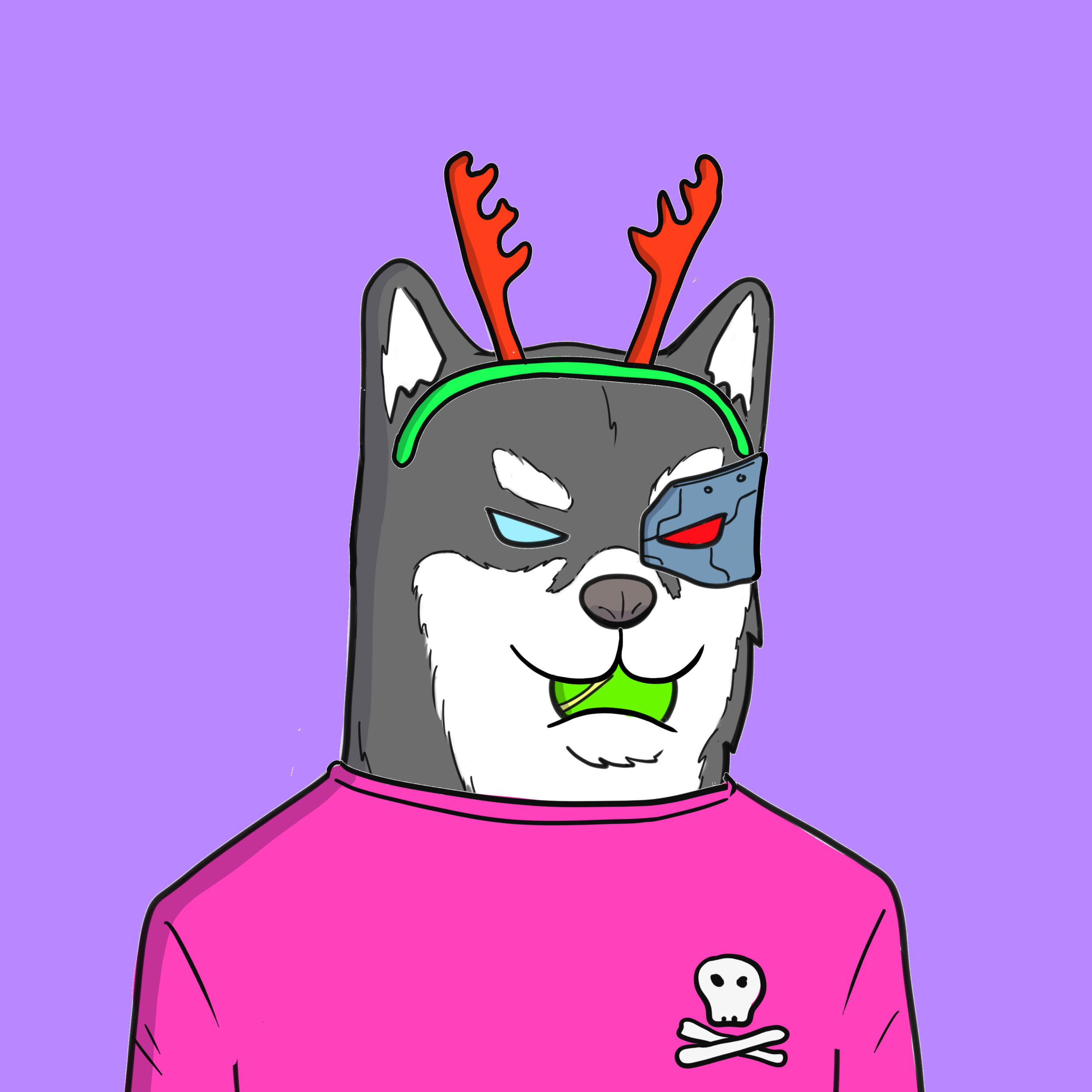 ALGORIAN DOGS #31 NFT on Algorand