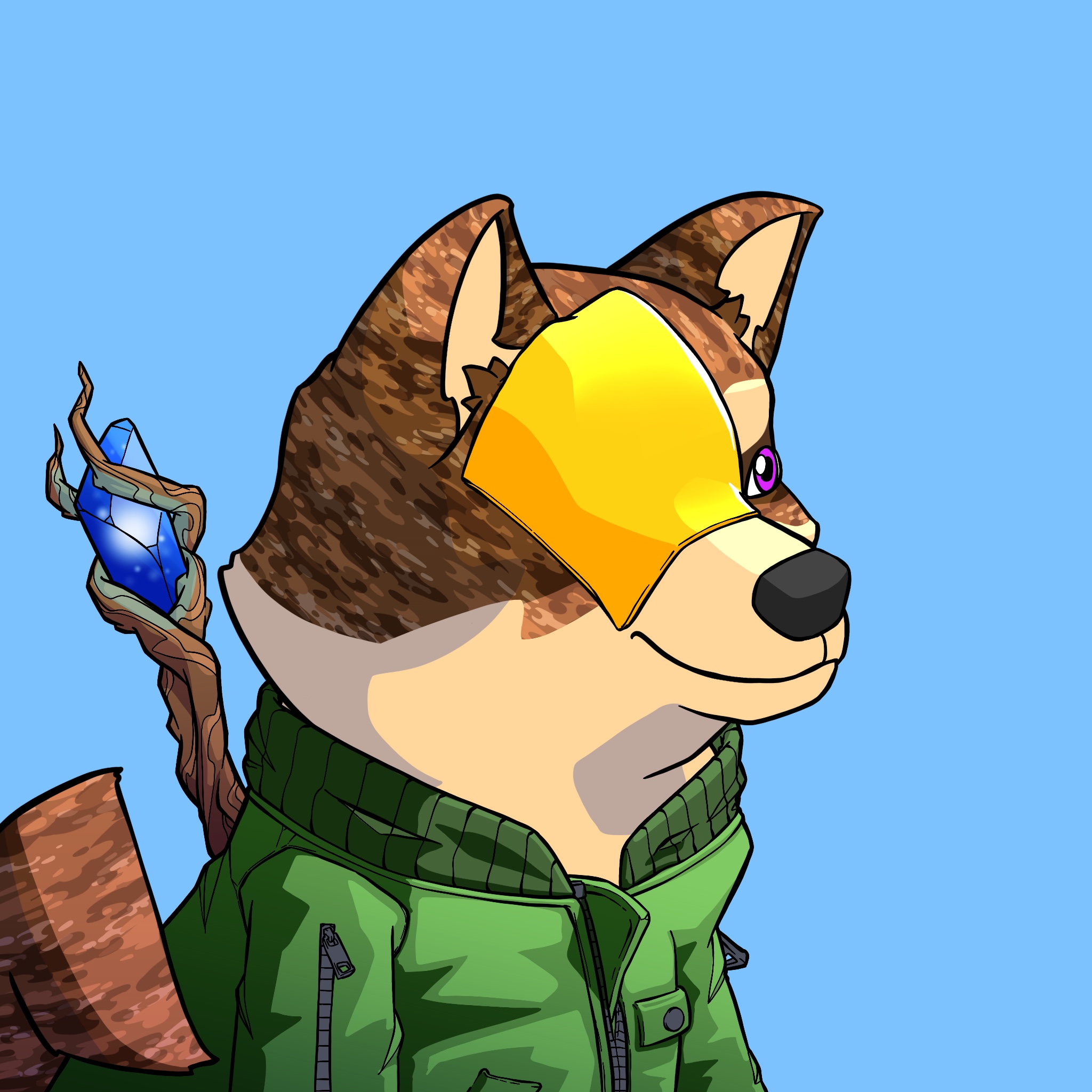 Akita 0124 NFT on Algorand