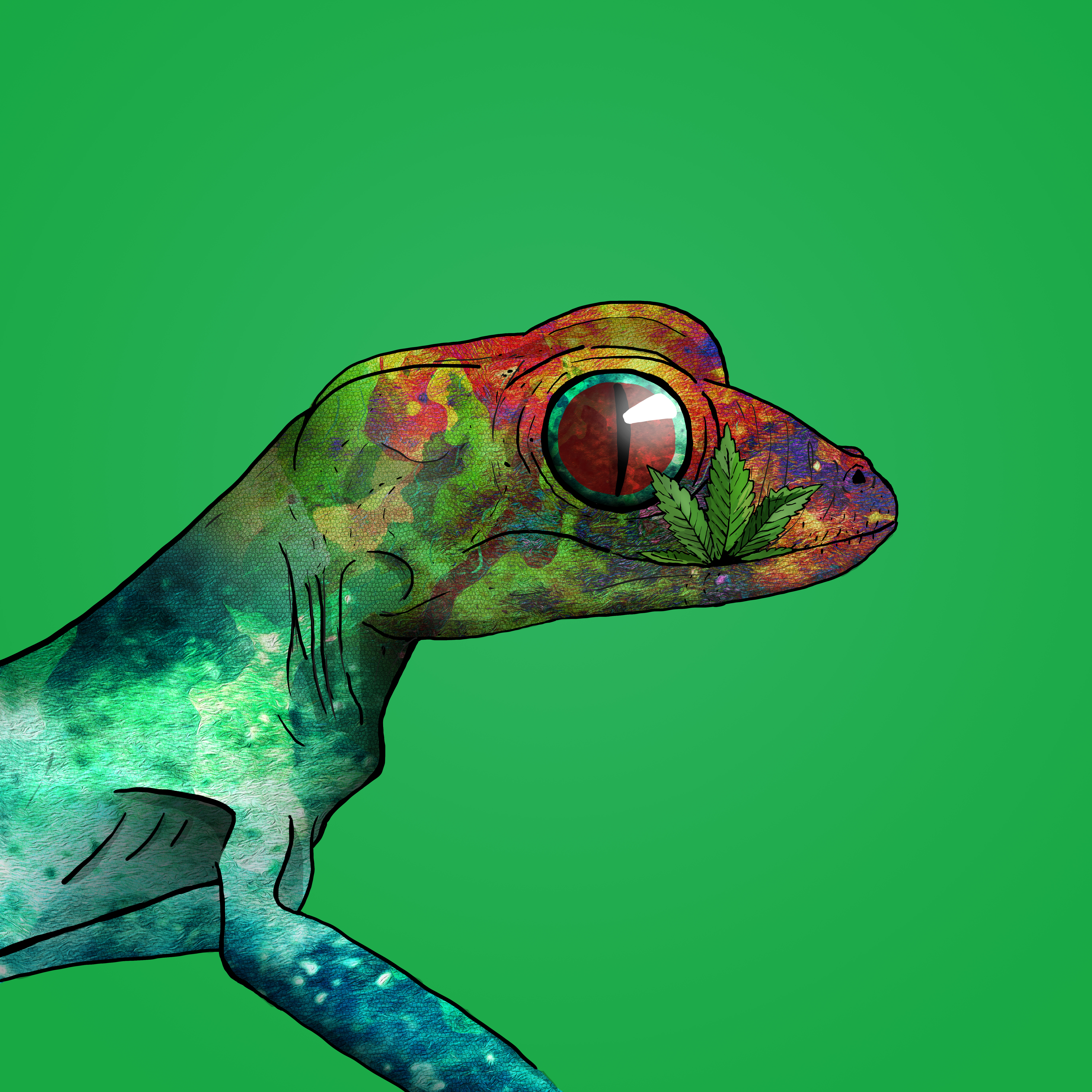 Geko 0252 NFT on Algorand
