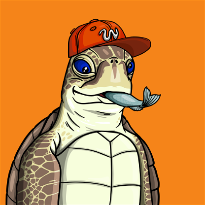 Wildlife Warrior Turtle #345
