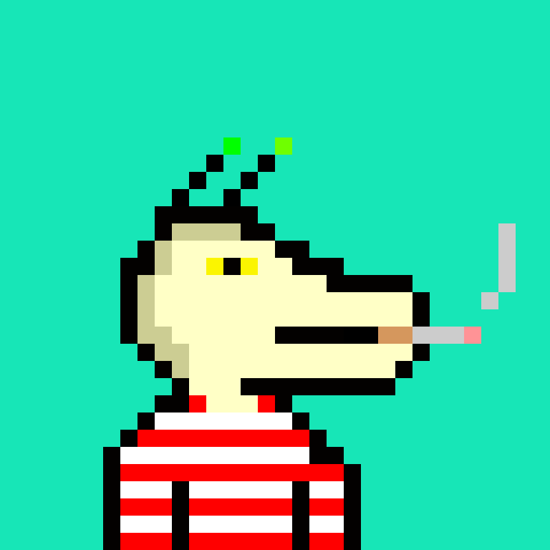 Algo Komodo #815 NFT on Algorand