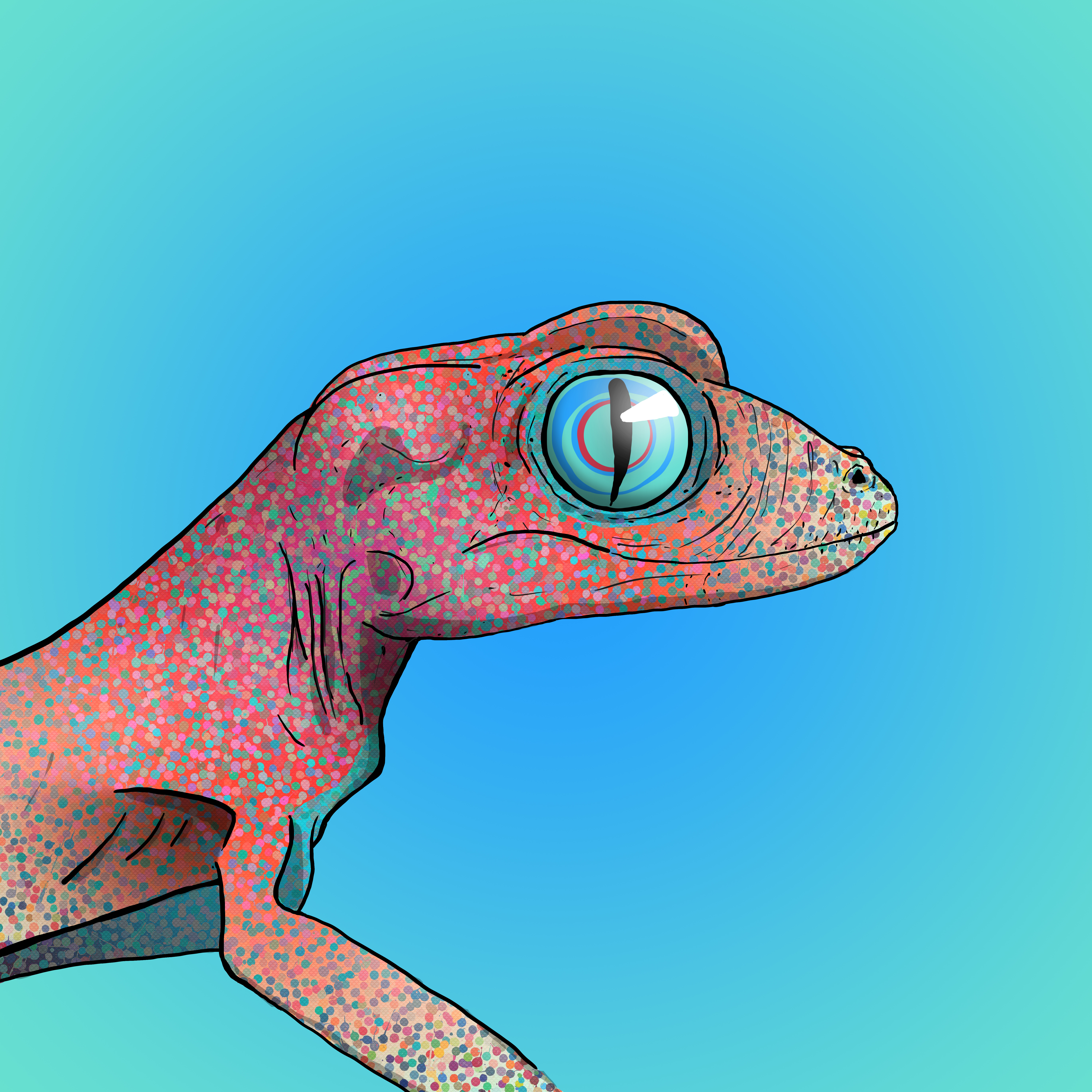 Geko 0170 NFT on Algorand