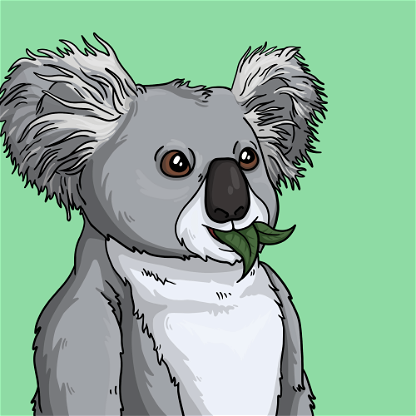 Wildlife Warrior Koala #298