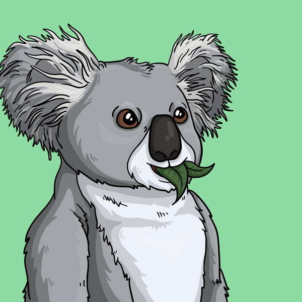 An image of Wildlife Warrior Koala #298