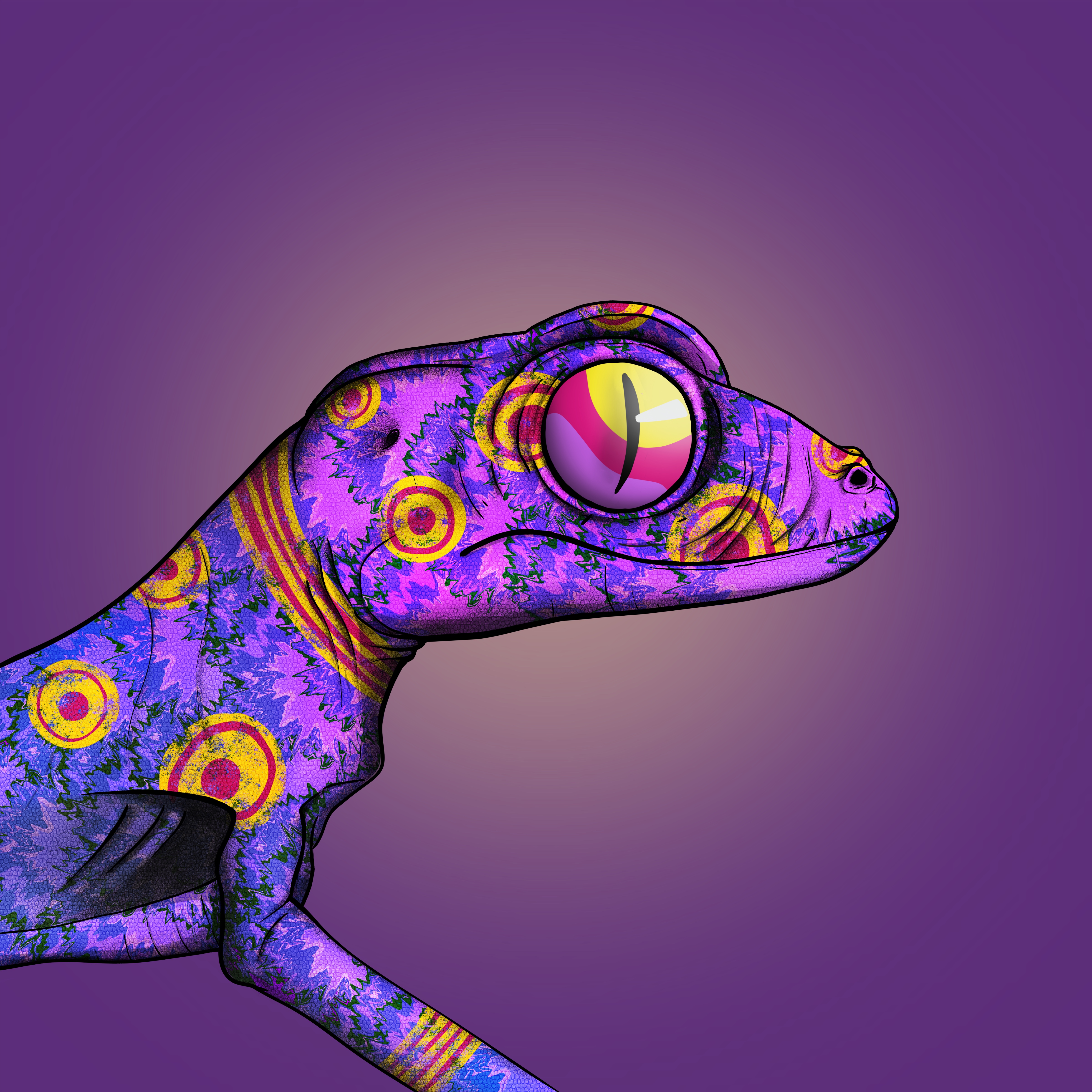 Geko 0582 NFT on Algorand
