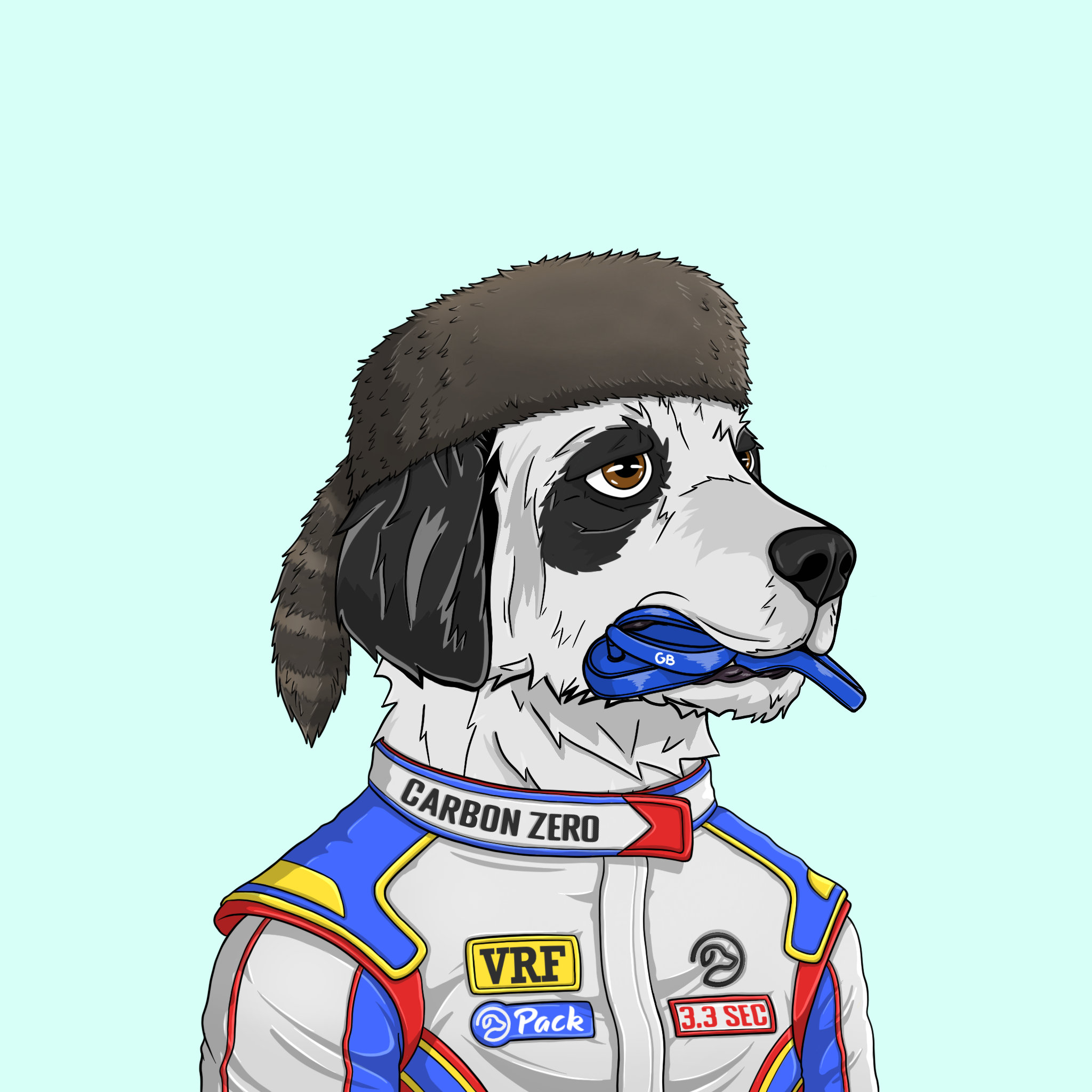 goodboi #2017 NFT on Algorand