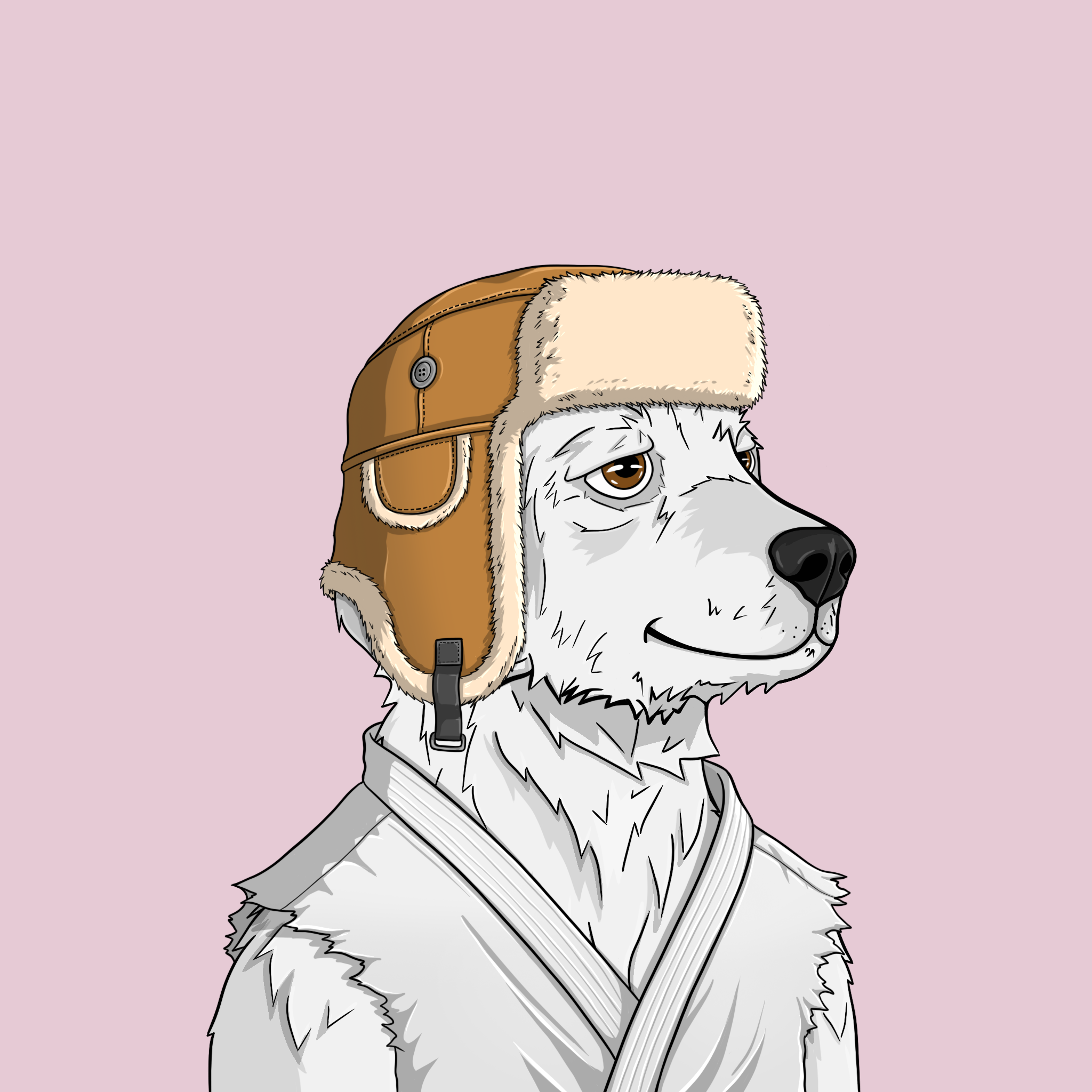 goodboi #2067 NFT on Algorand