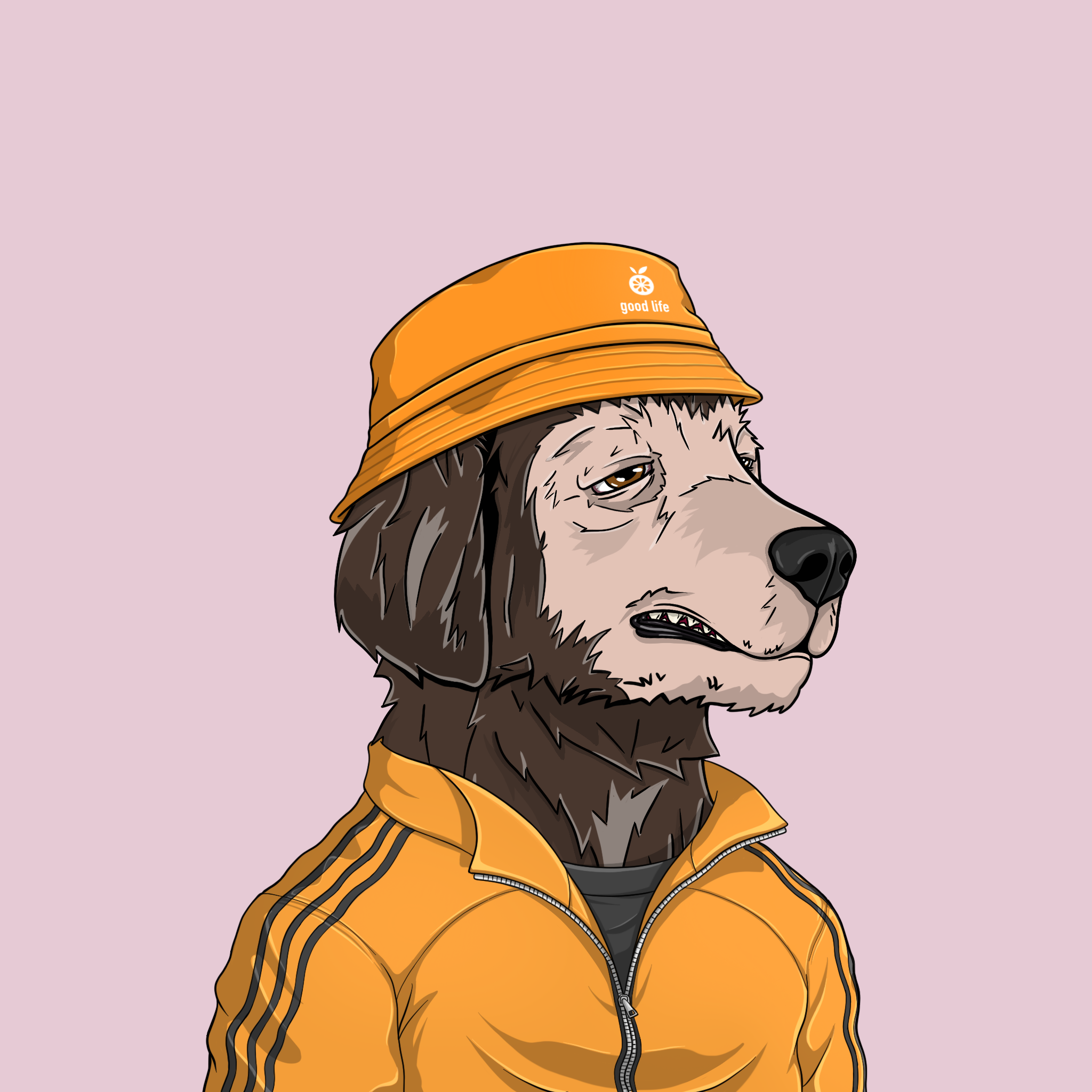 goodboi #2094 NFT on Algorand