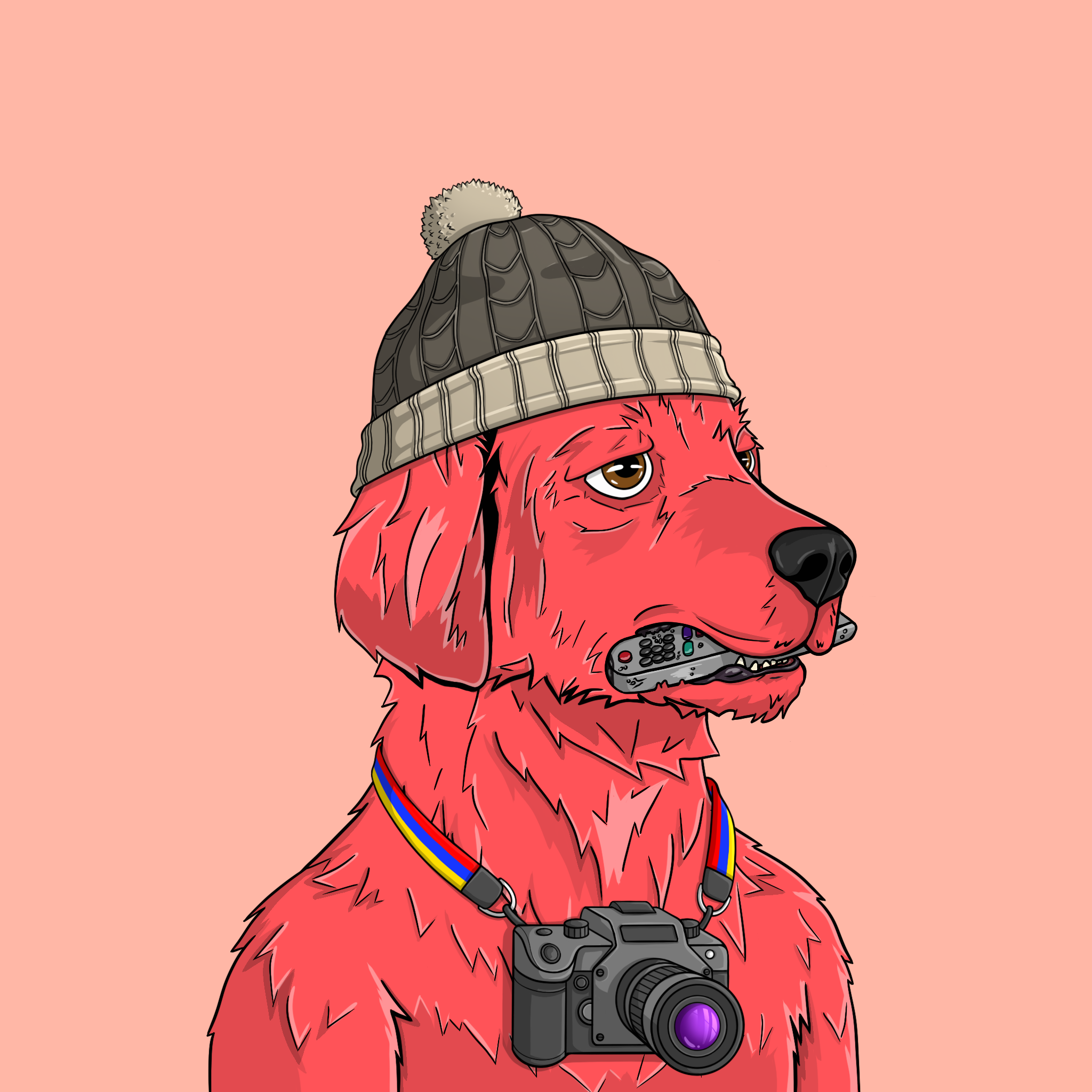 goodboi #2172 NFT on Algorand