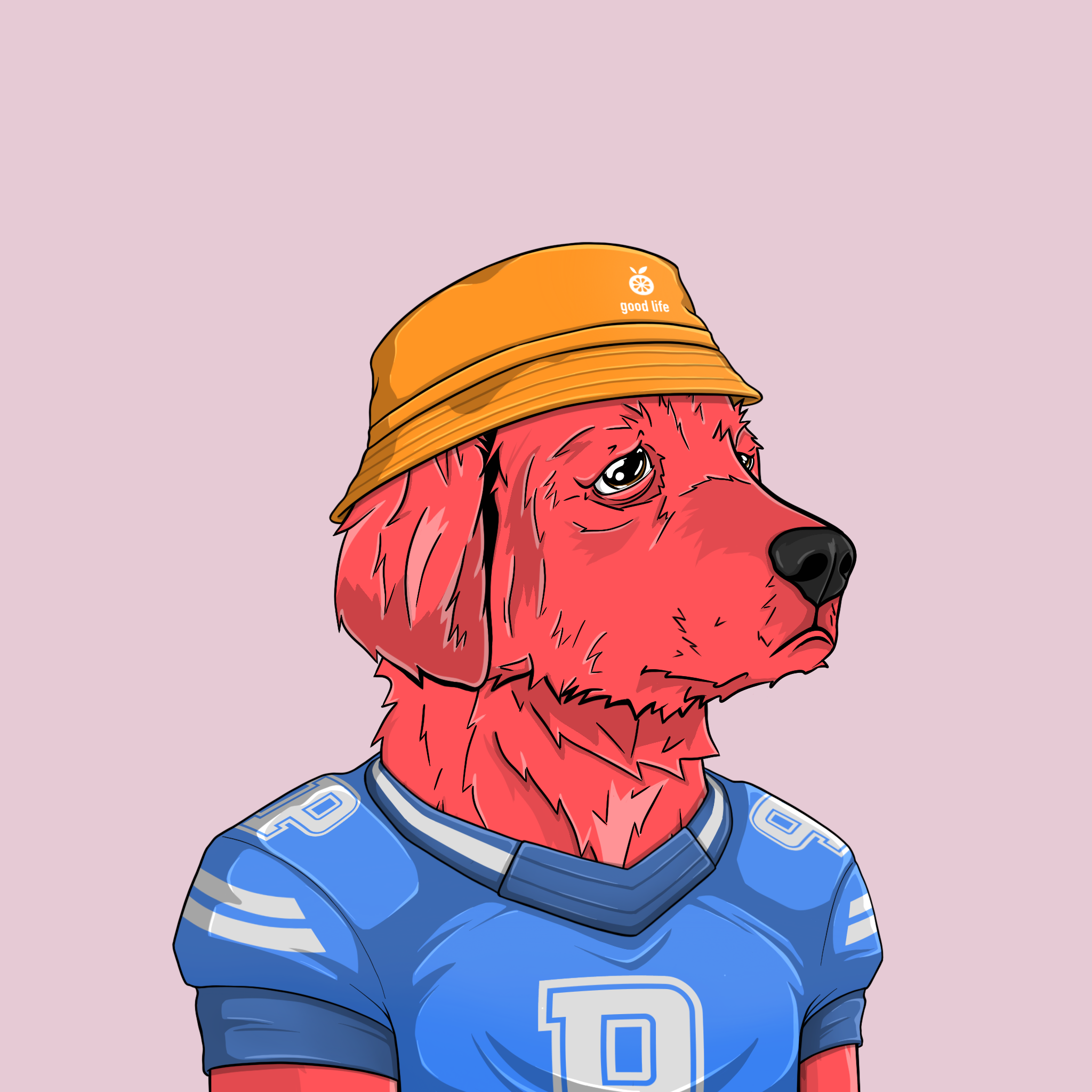 goodboi #2200 NFT on Algorand