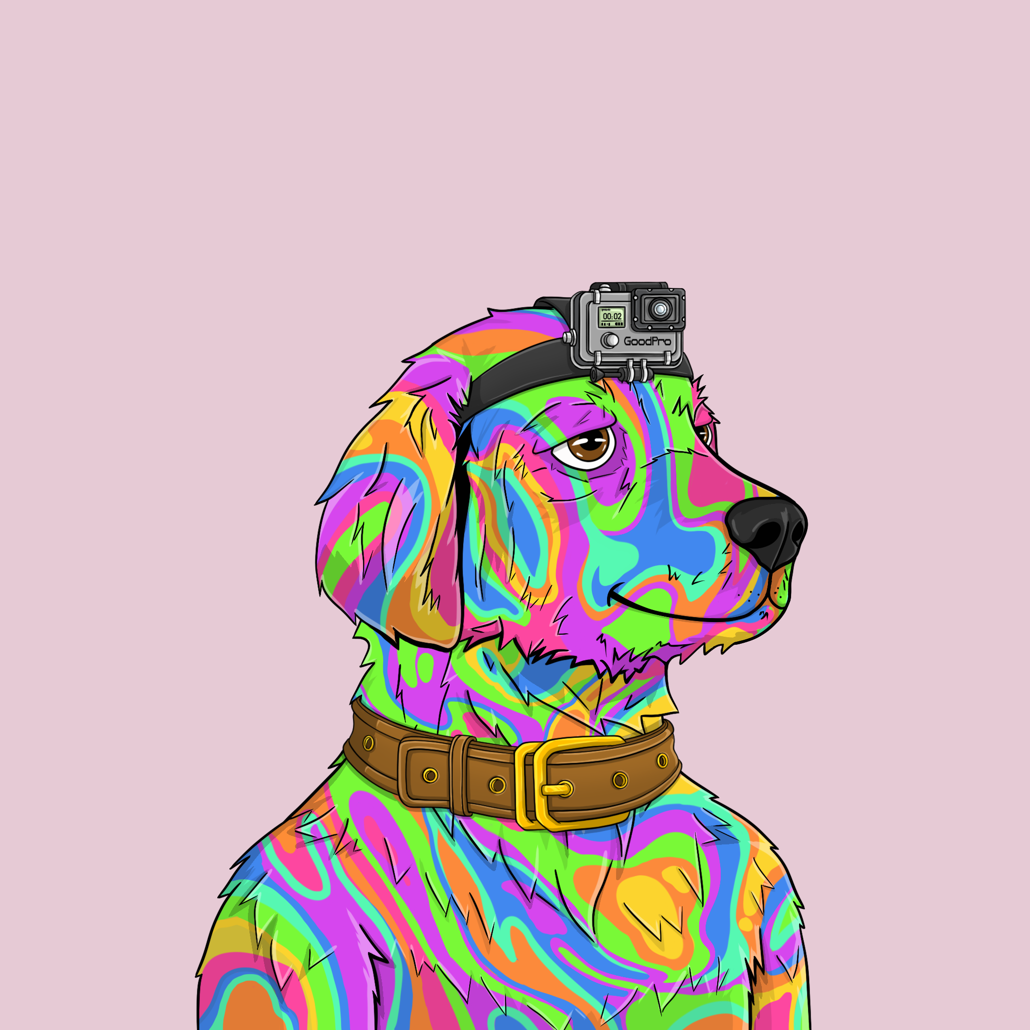 goodboi #2255 NFT on Algorand