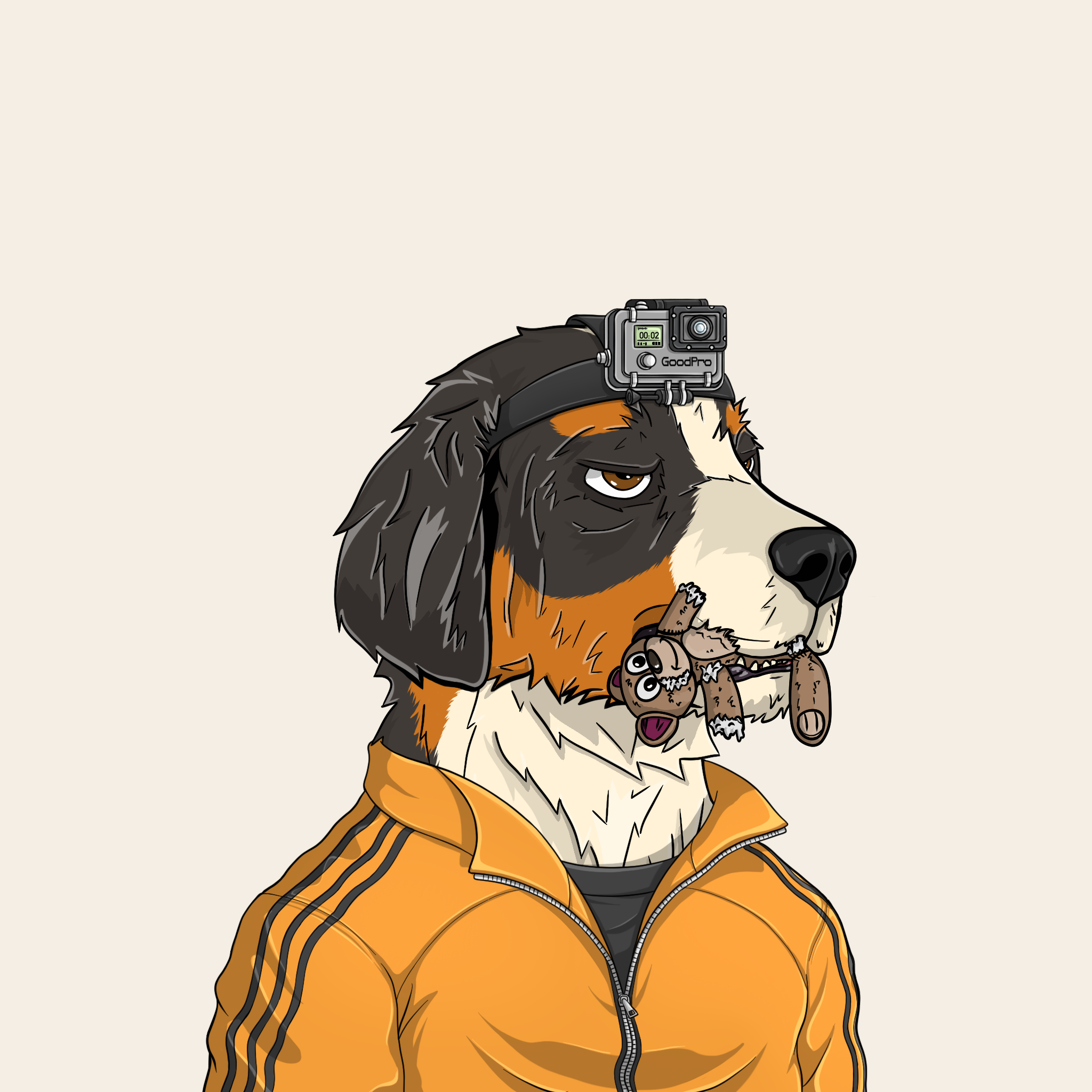 goodboi #2412 NFT on Algorand