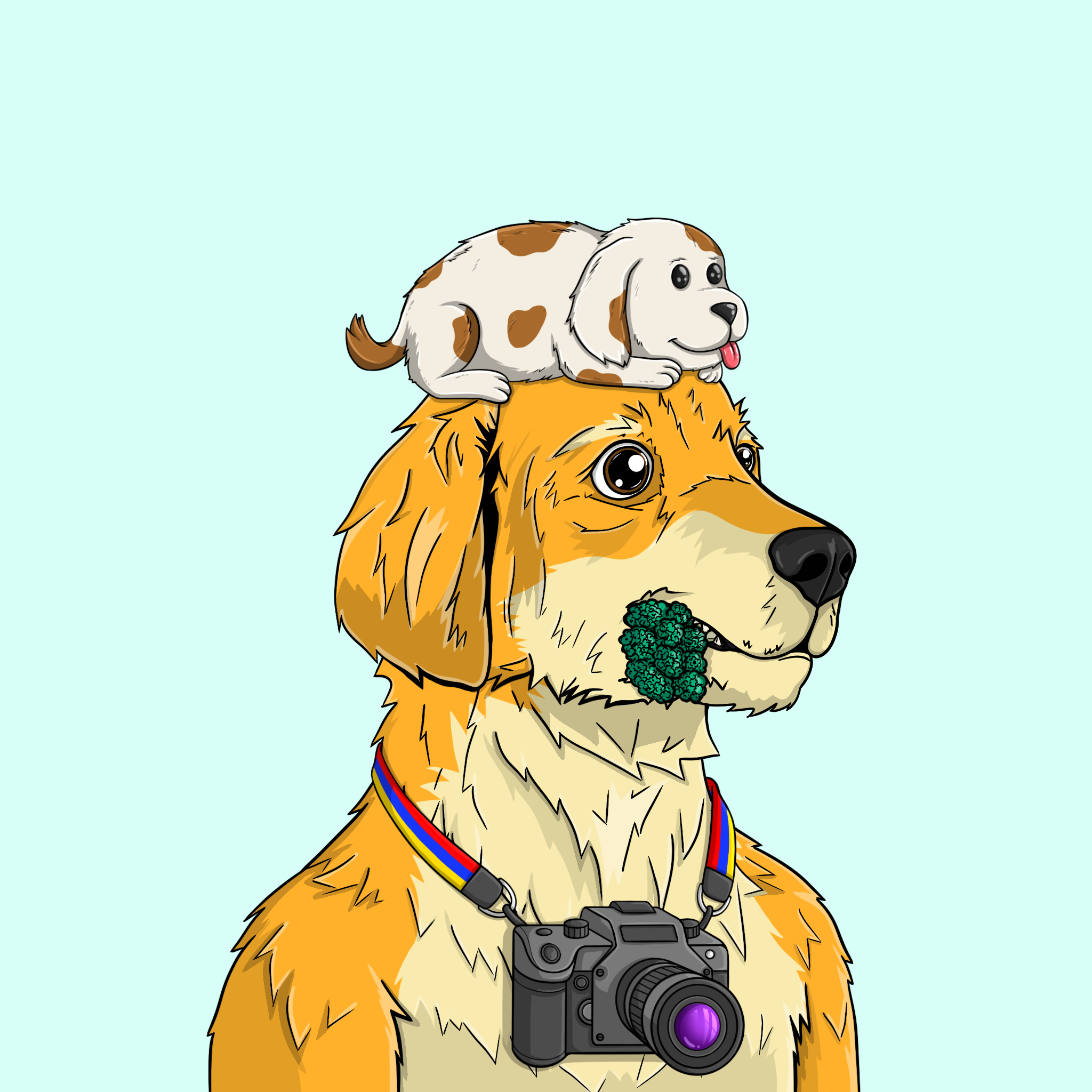 goodboi #2424 NFT on Algorand