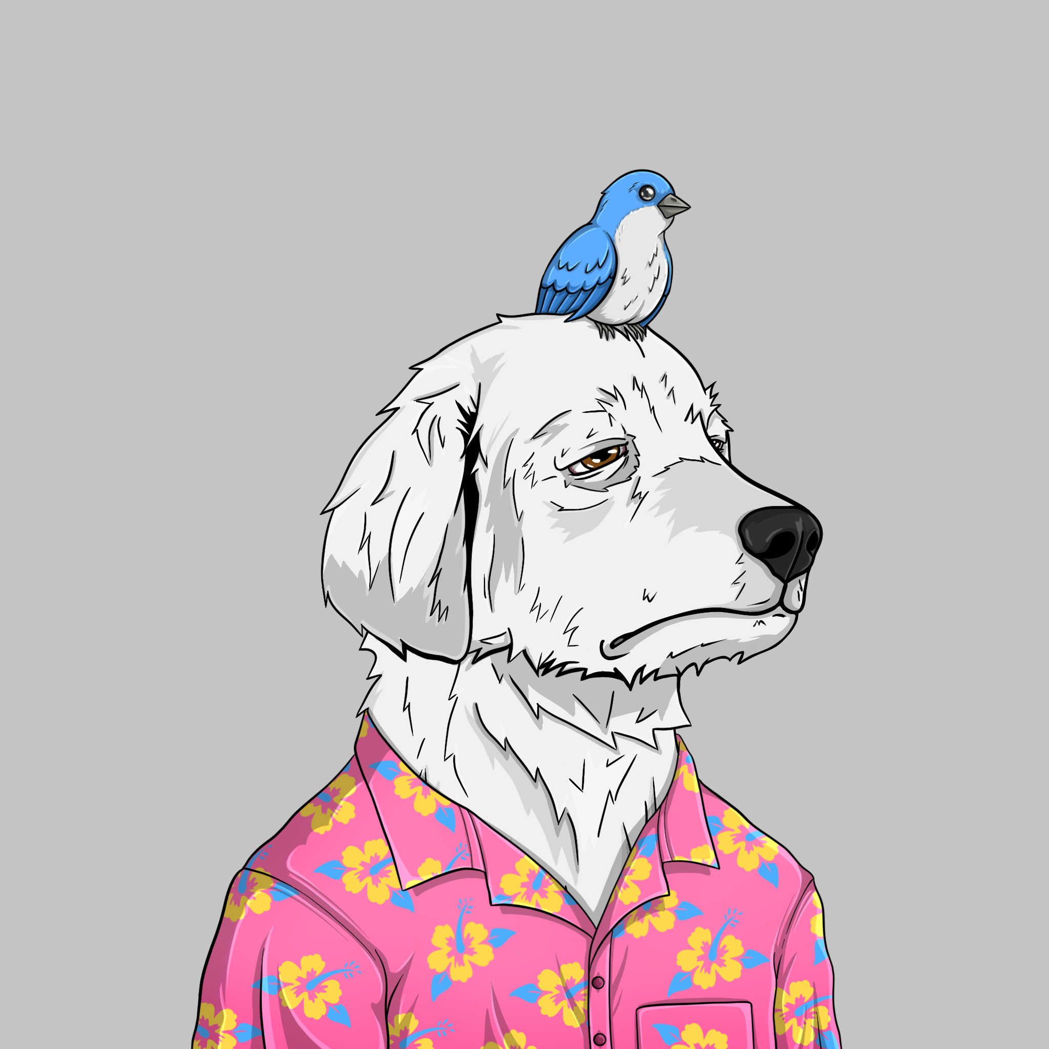 goodboi #1139 NFT on Algorand