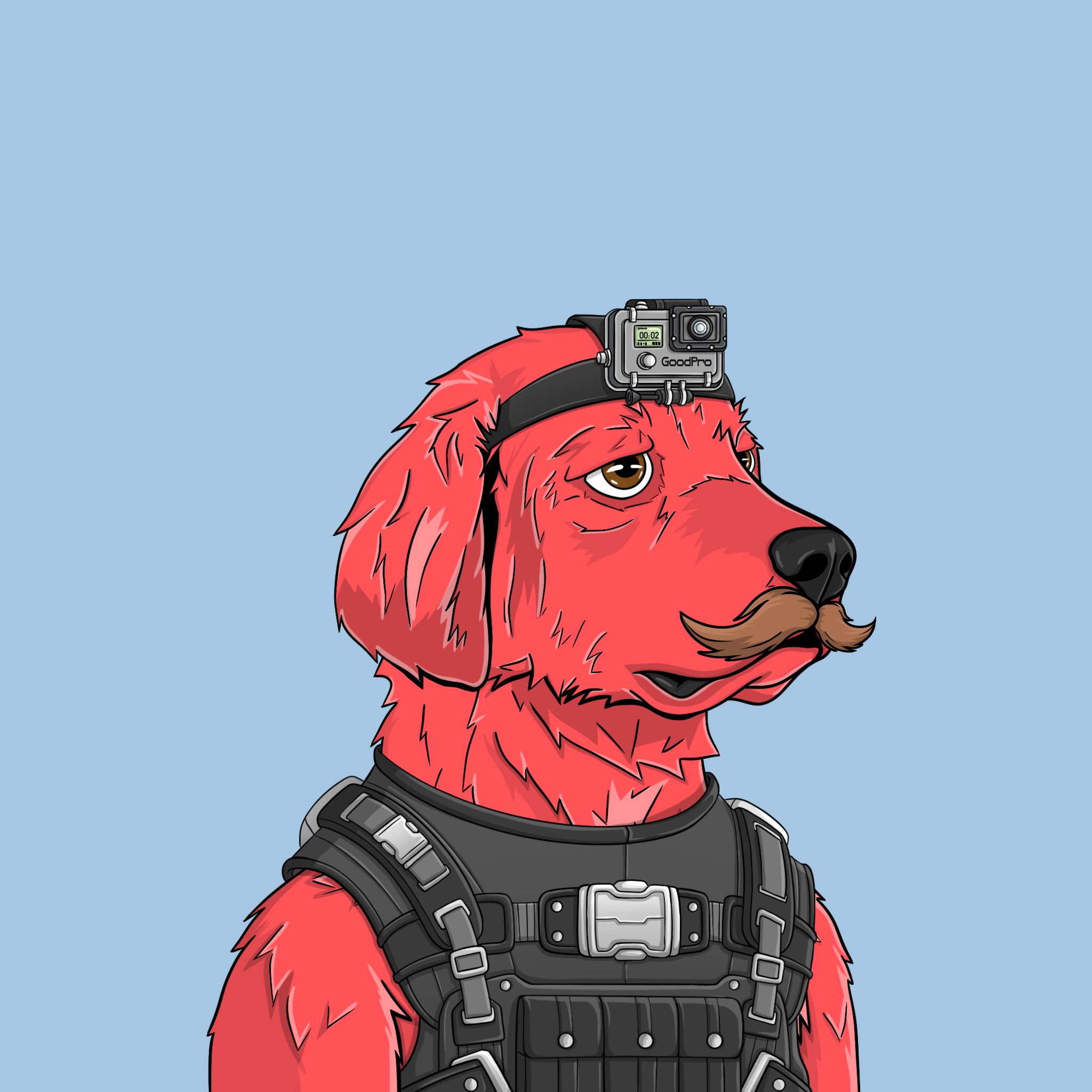 goodboi #2428 NFT on Algorand