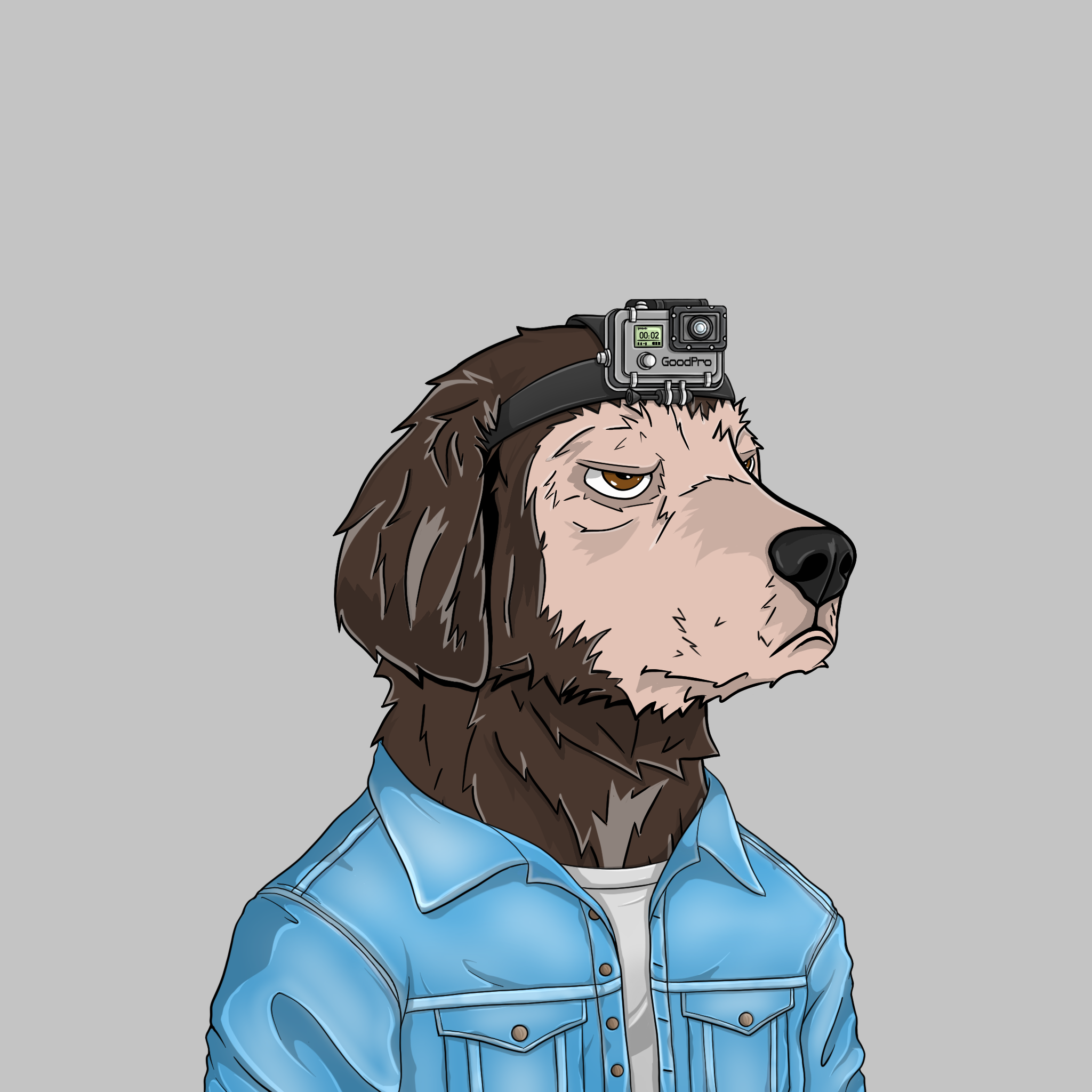 goodboi #2443 NFT on Algorand