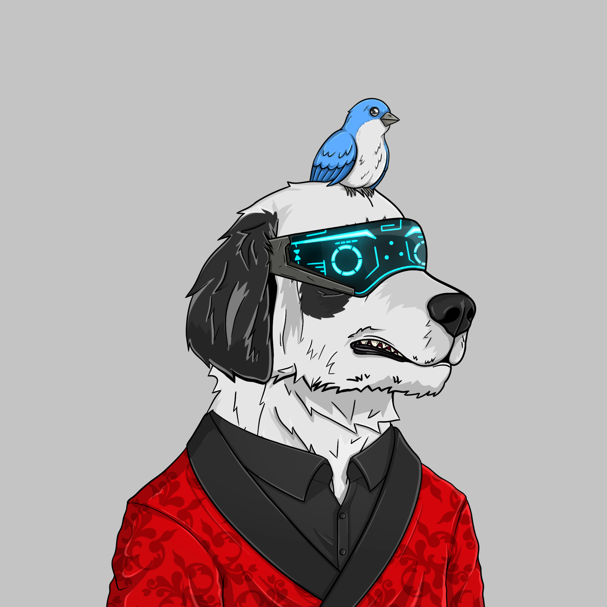 goodboi #2466 NFT on Algorand