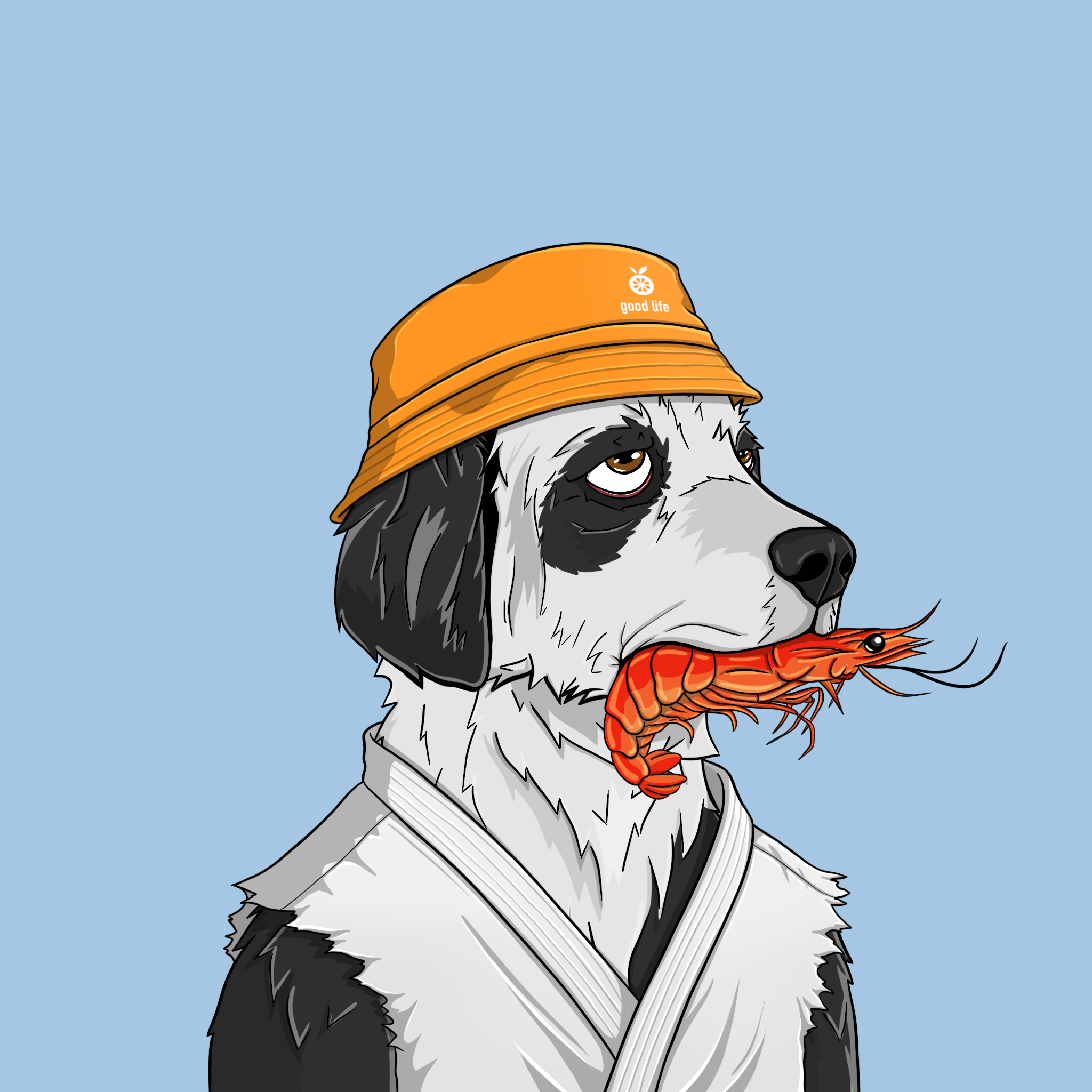 goodboi #2507 NFT on Algorand