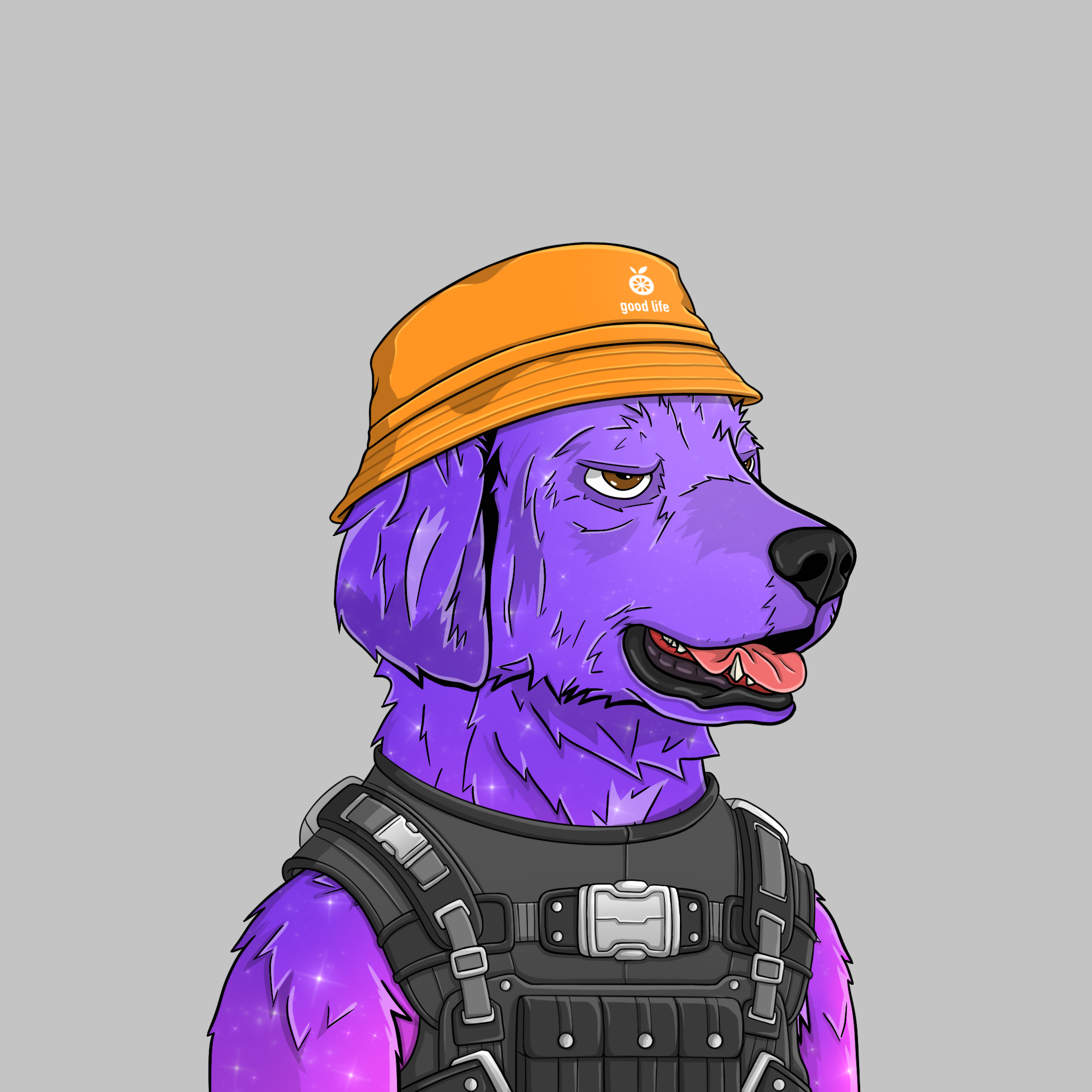 goodboi #2523 NFT on Algorand