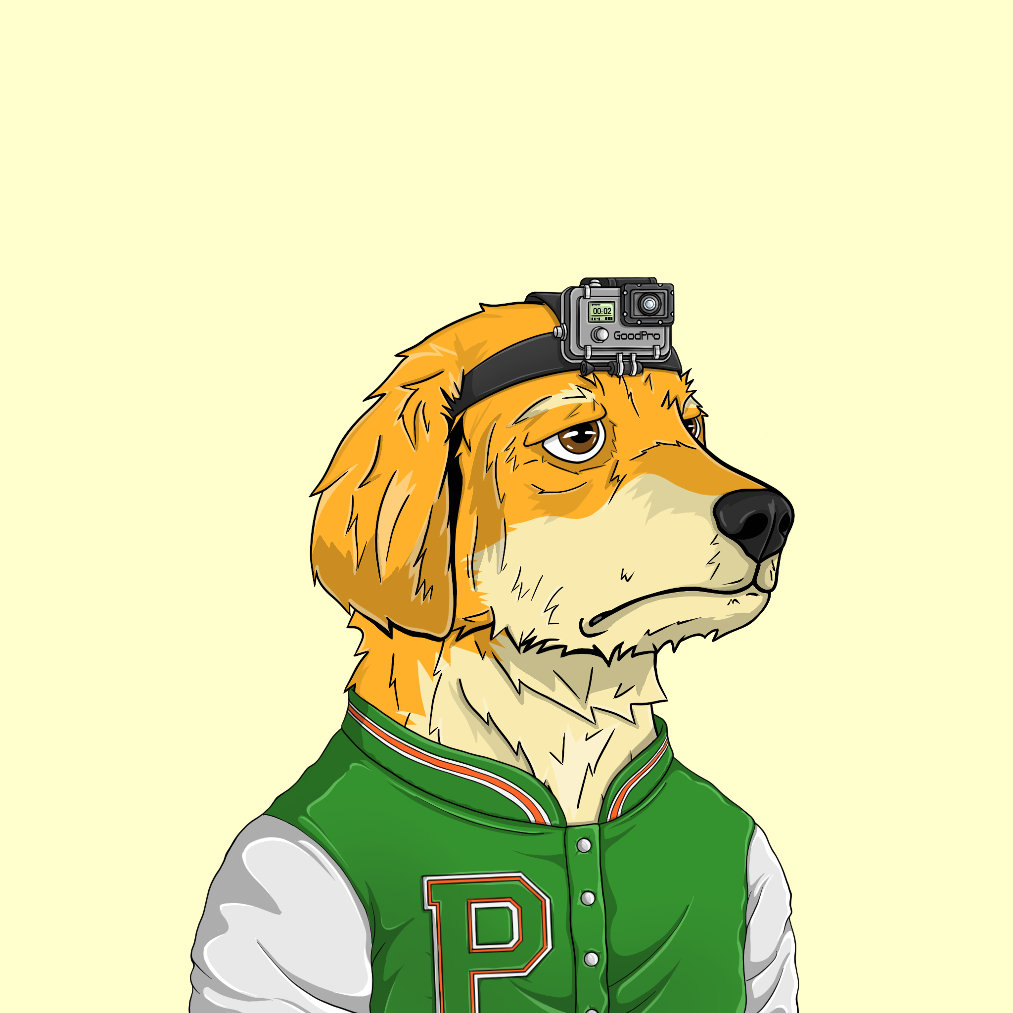 goodboi #2535 NFT on Algorand