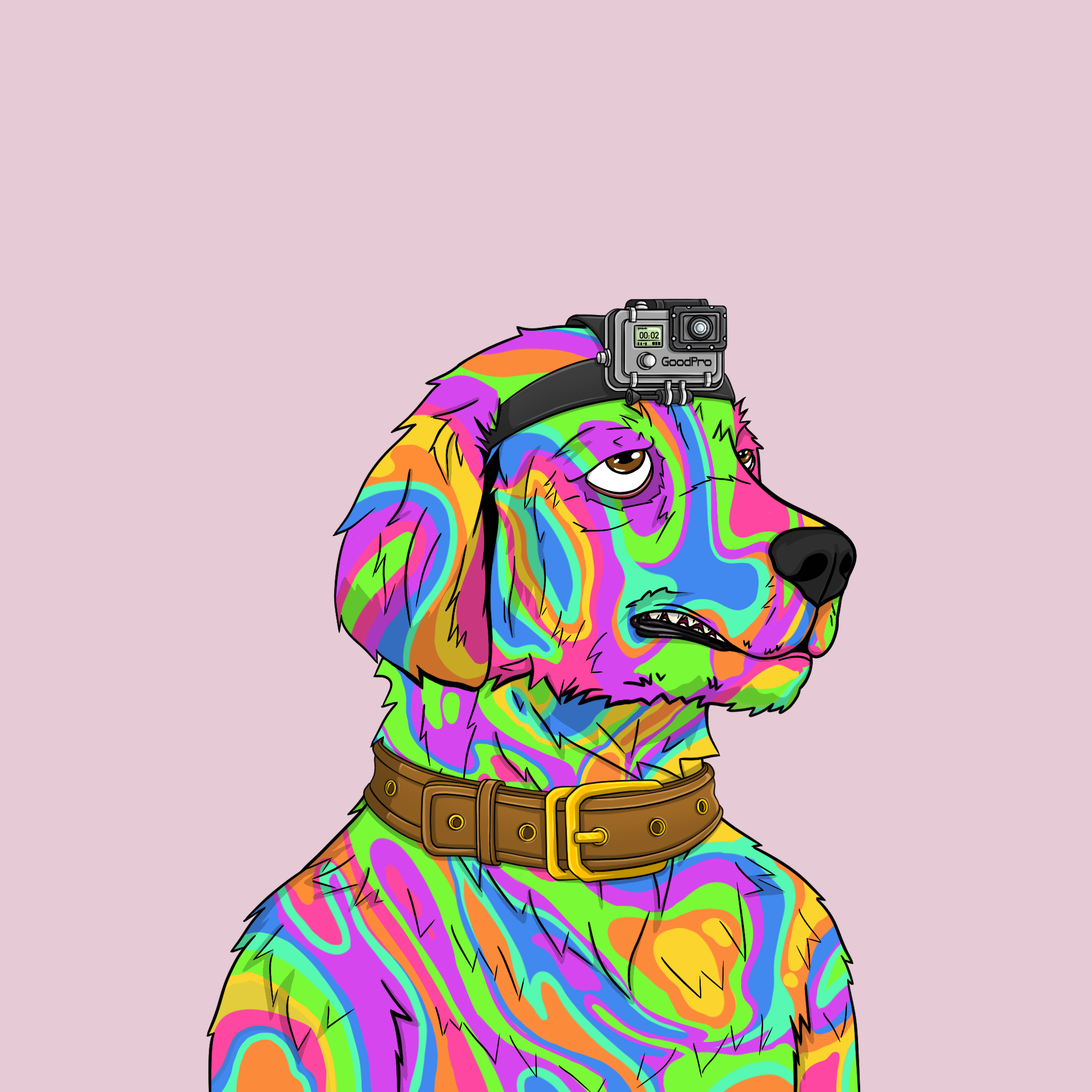 goodboi #2563 NFT on Algorand