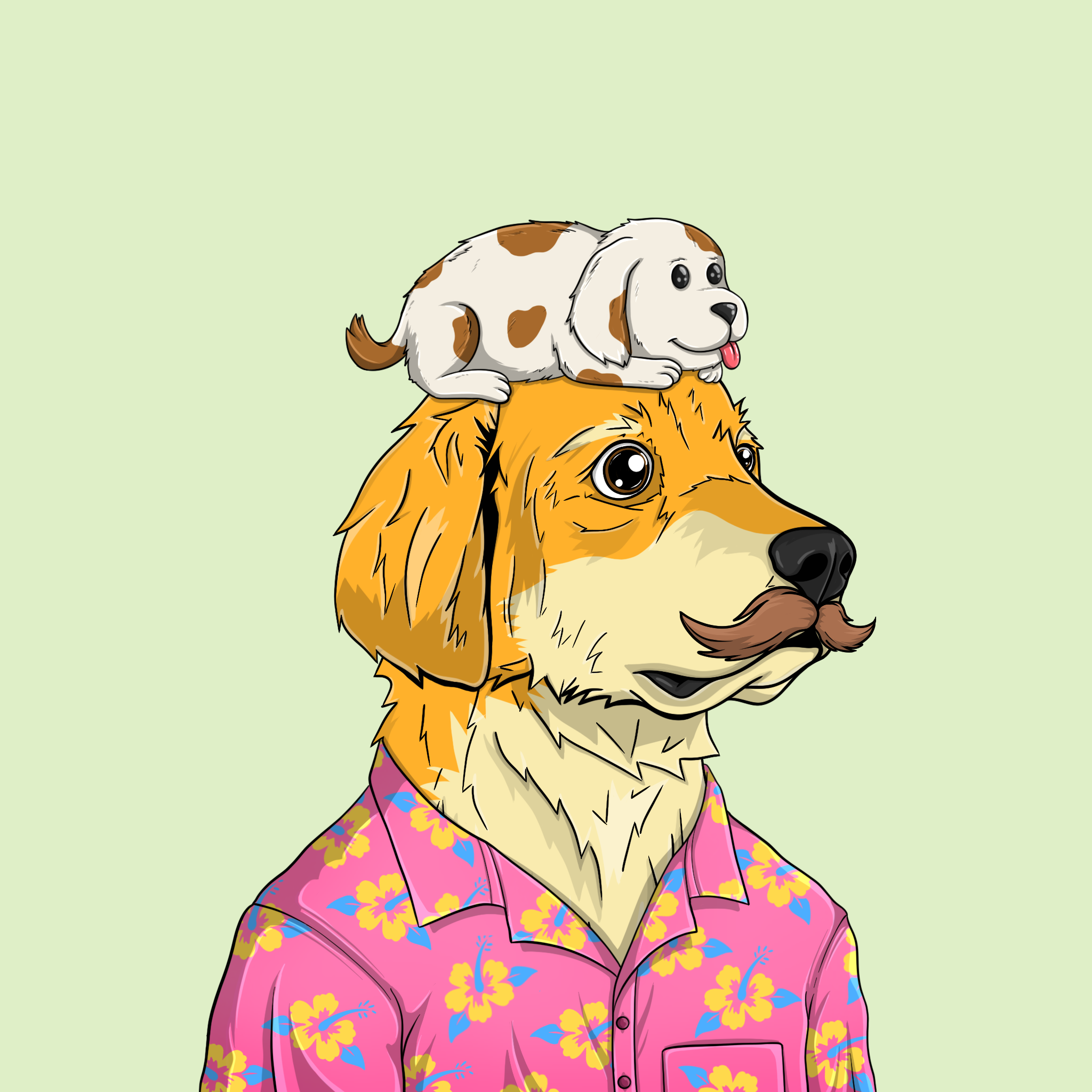 goodboi #1154 NFT on Algorand