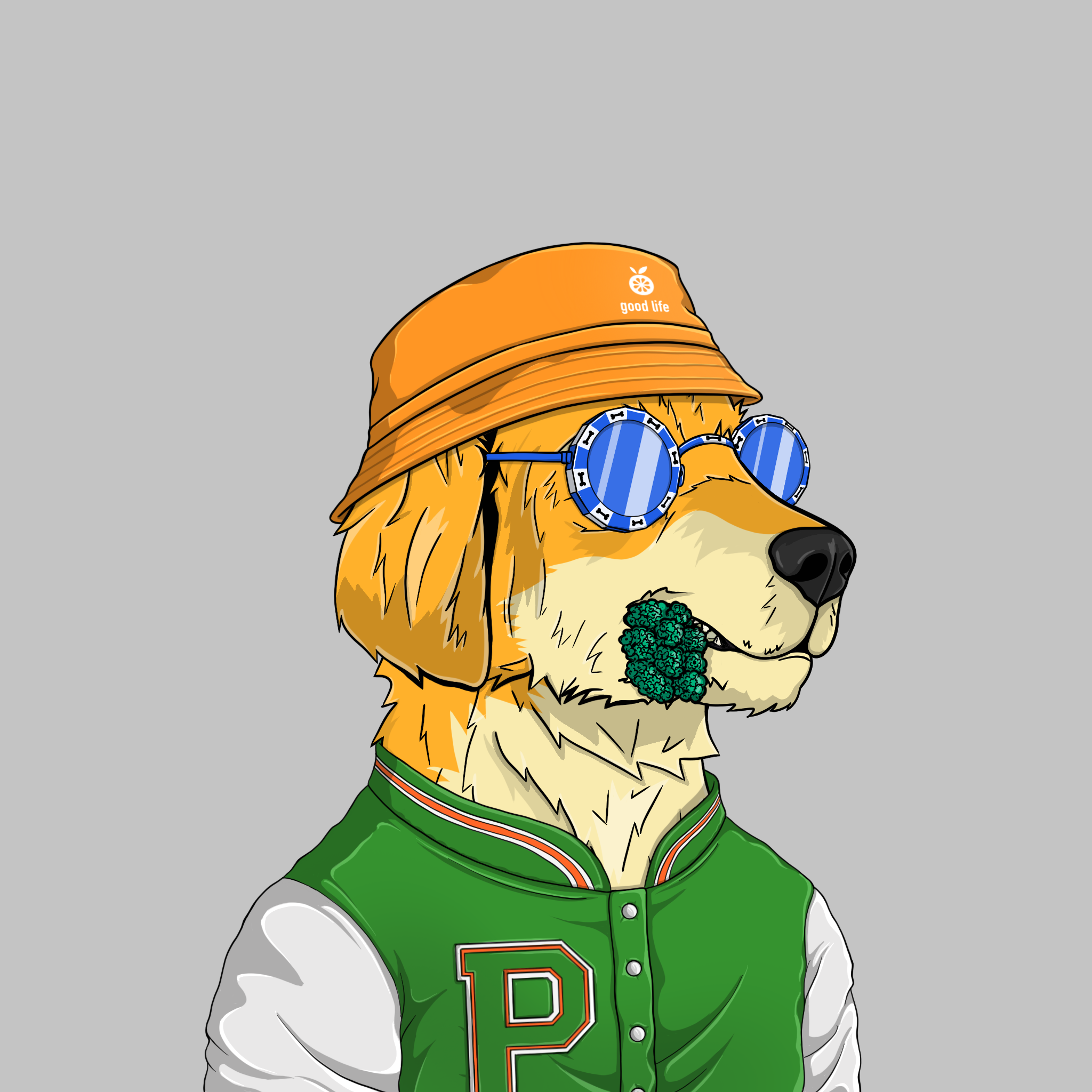 goodboi #2601 NFT on Algorand