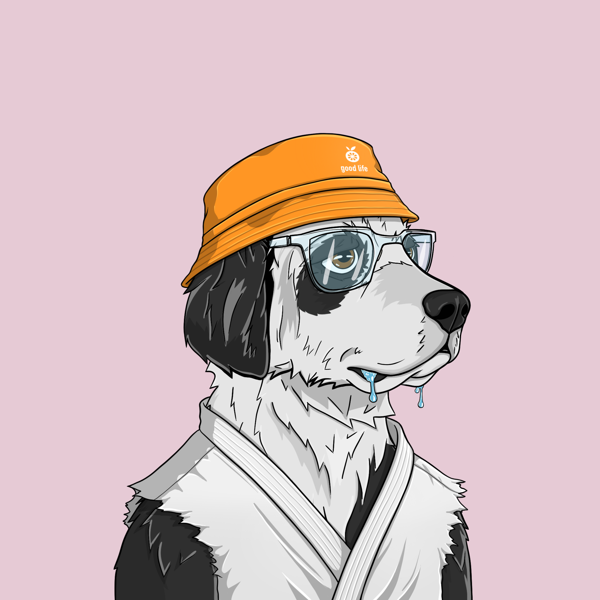 goodboi #2699 NFT on Algorand