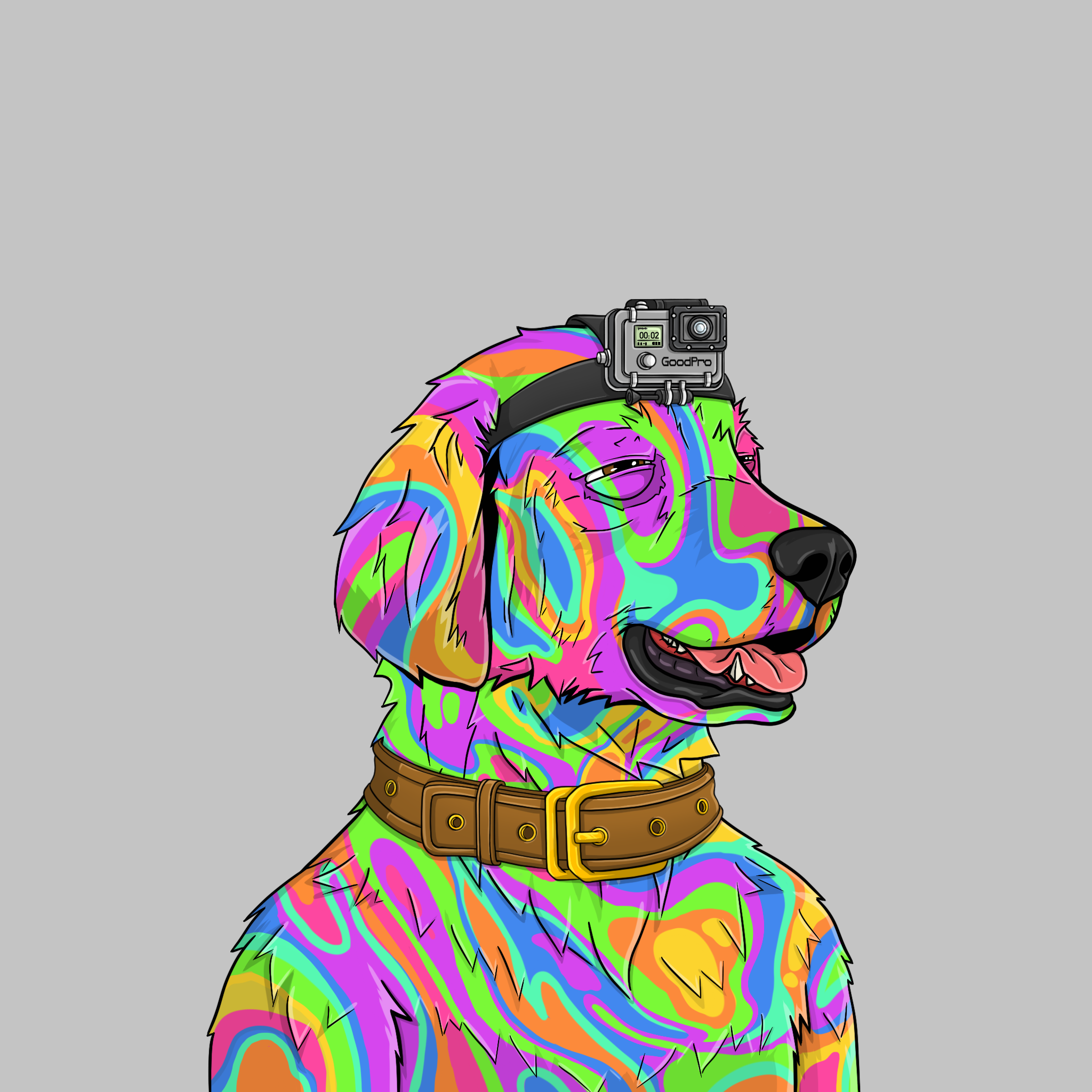 goodboi #2710 NFT on Algorand