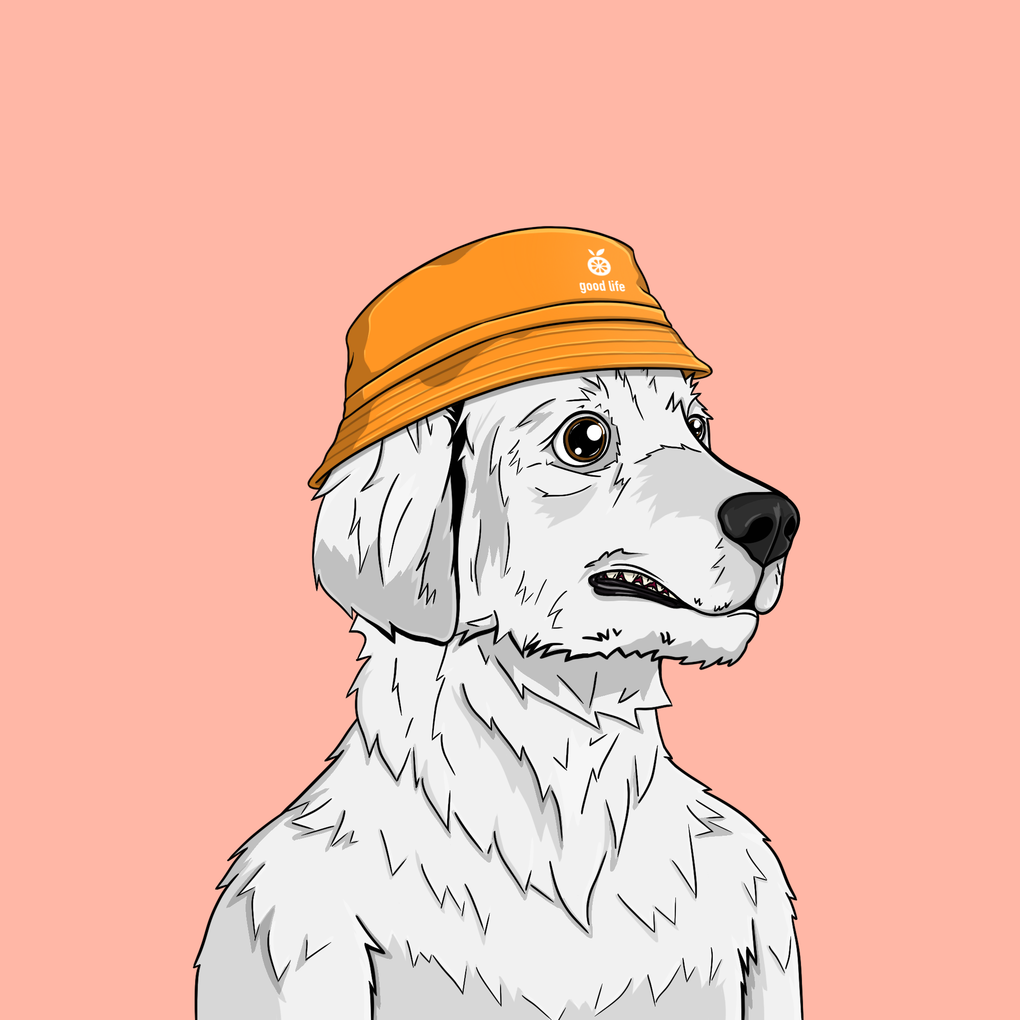 goodboi #2714 NFT on Algorand