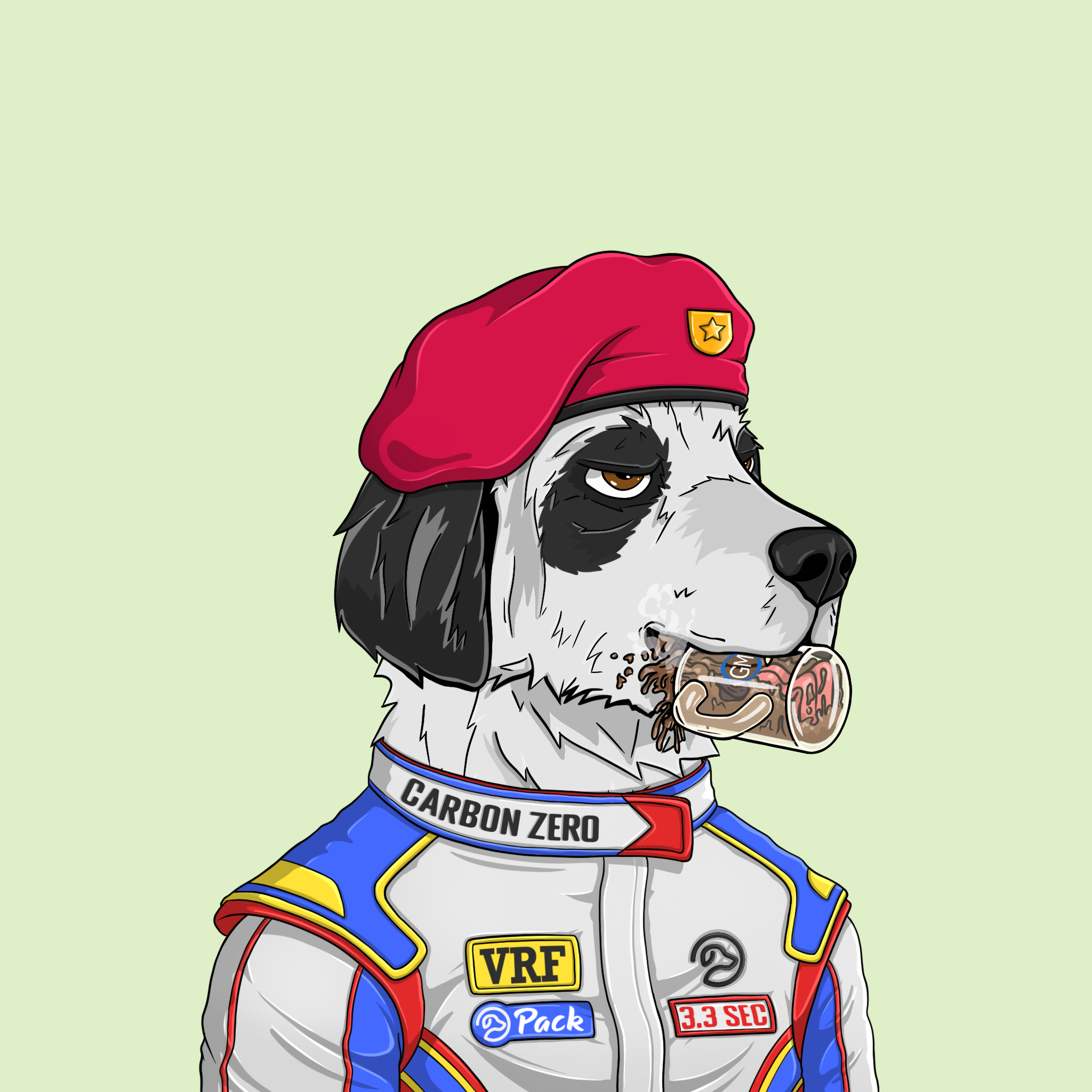 goodboi #2749 NFT on Algorand