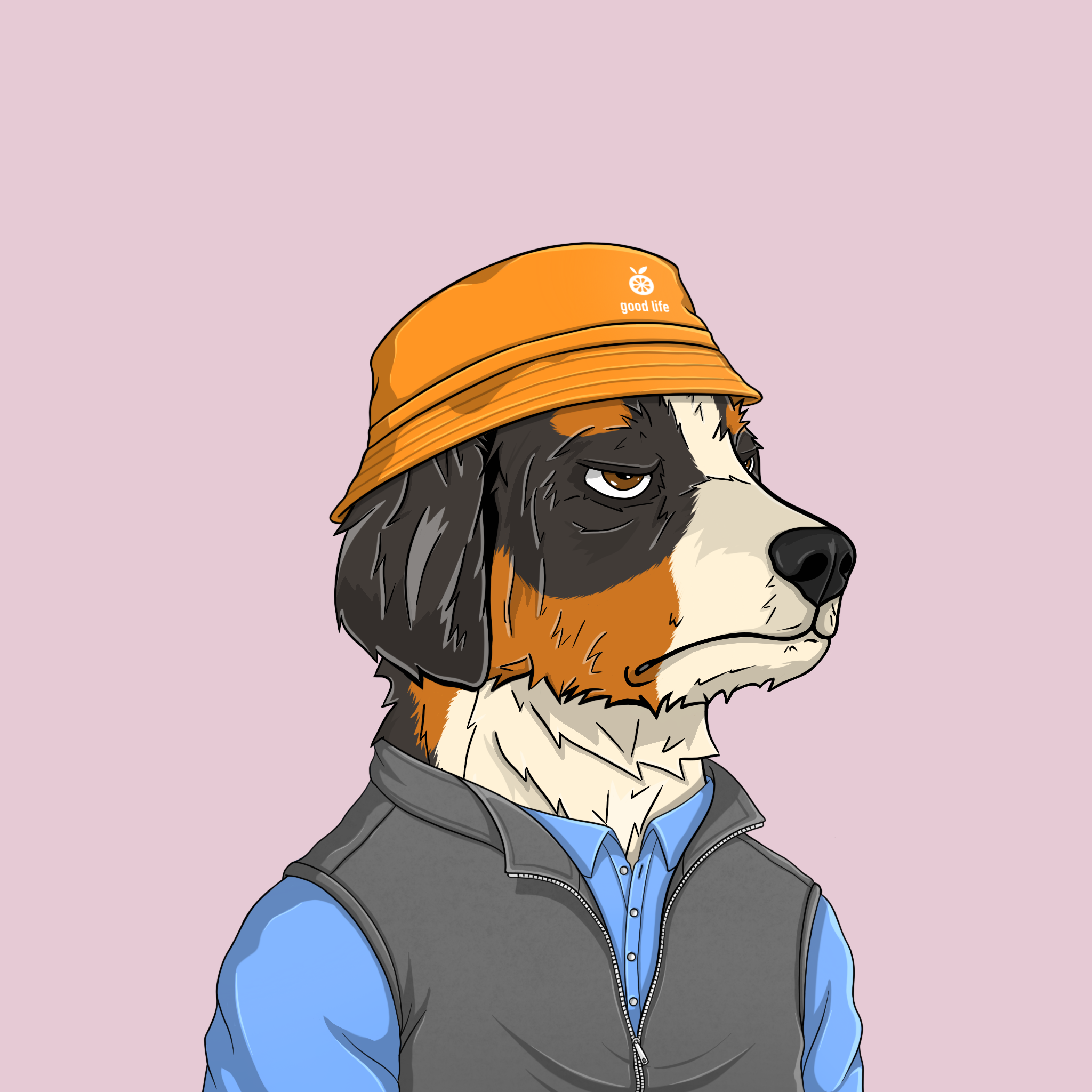 goodboi #2800 NFT on Algorand