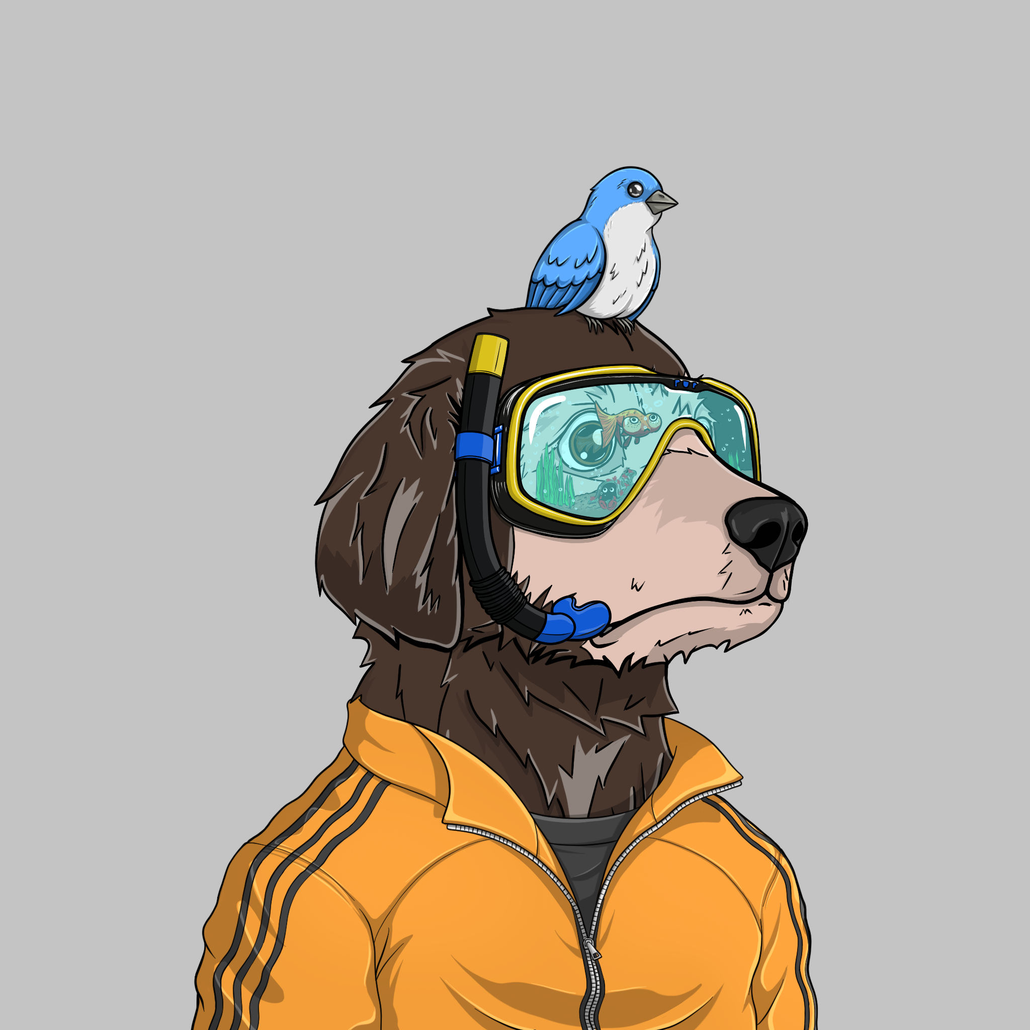 goodboi #2807 NFT on Algorand