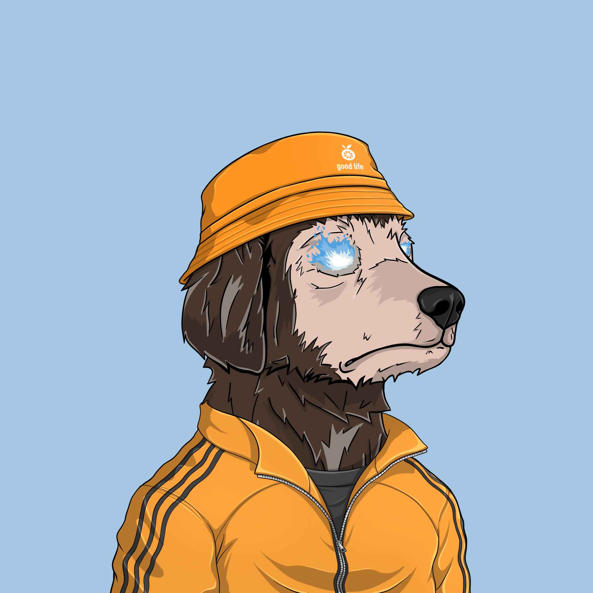 goodboi #2842 NFT on Algorand