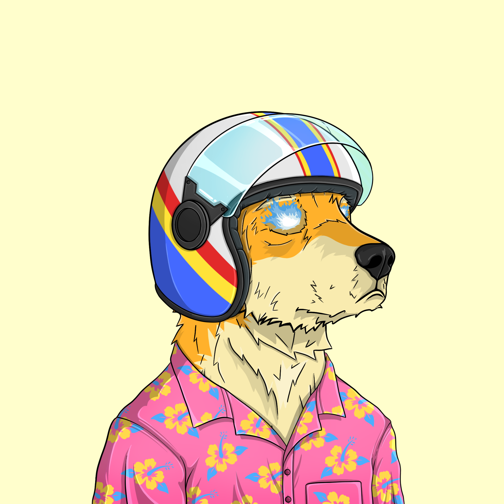 goodboi #2844 NFT on Algorand