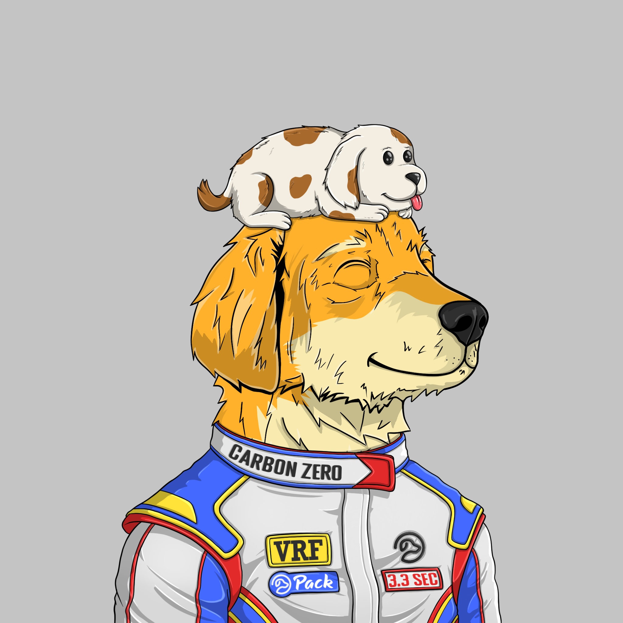 goodboi #2845 NFT on Algorand