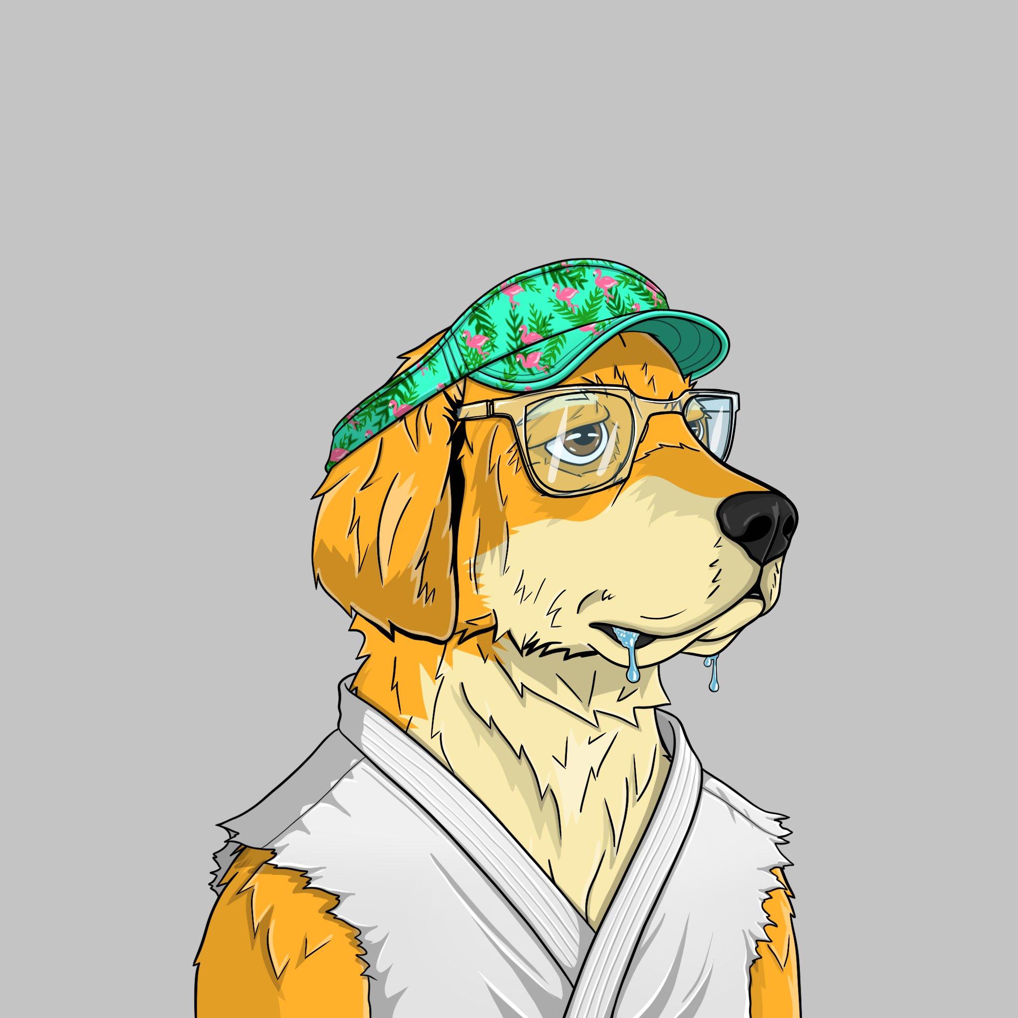 goodboi #2848 NFT on Algorand