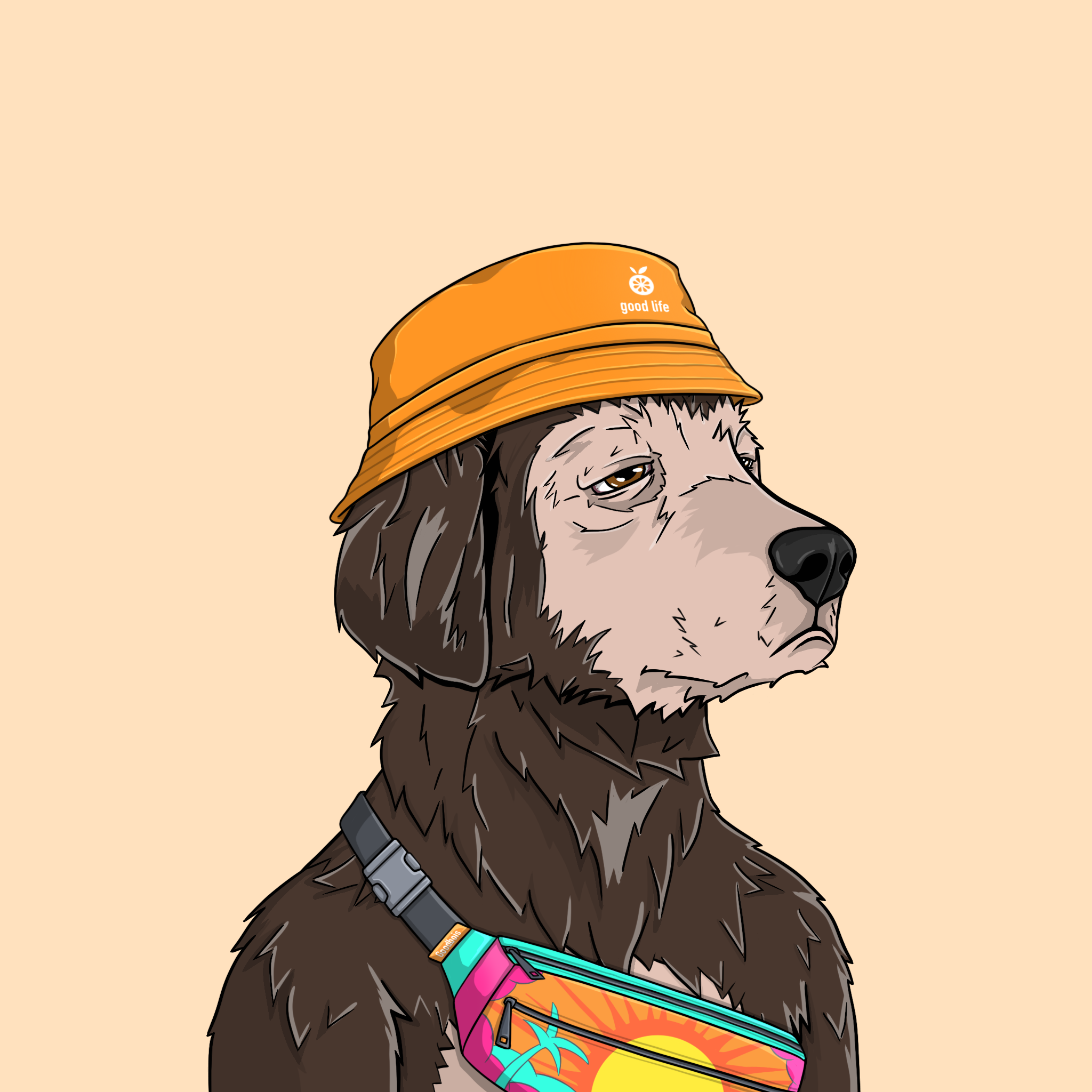 goodboi #2870 NFT on Algorand