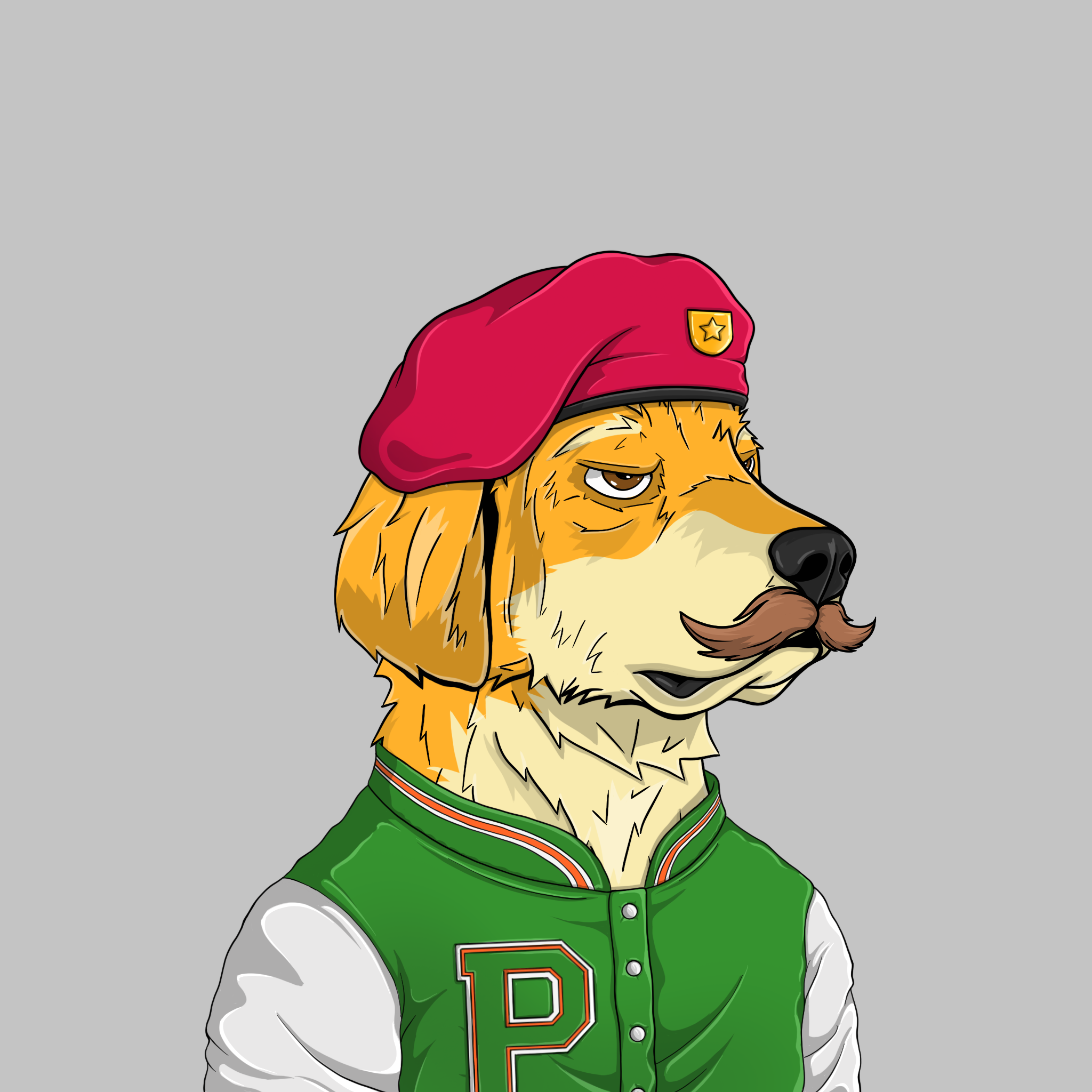 goodboi #2972 NFT on Algorand