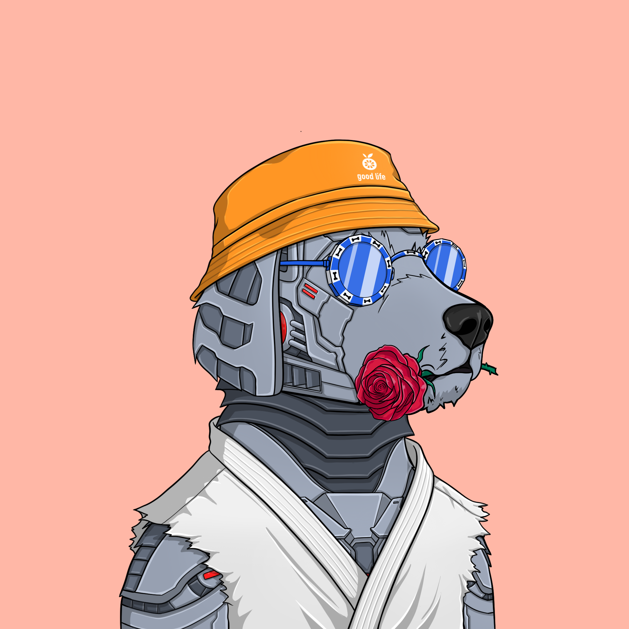 goodboi #2998 NFT on Algorand