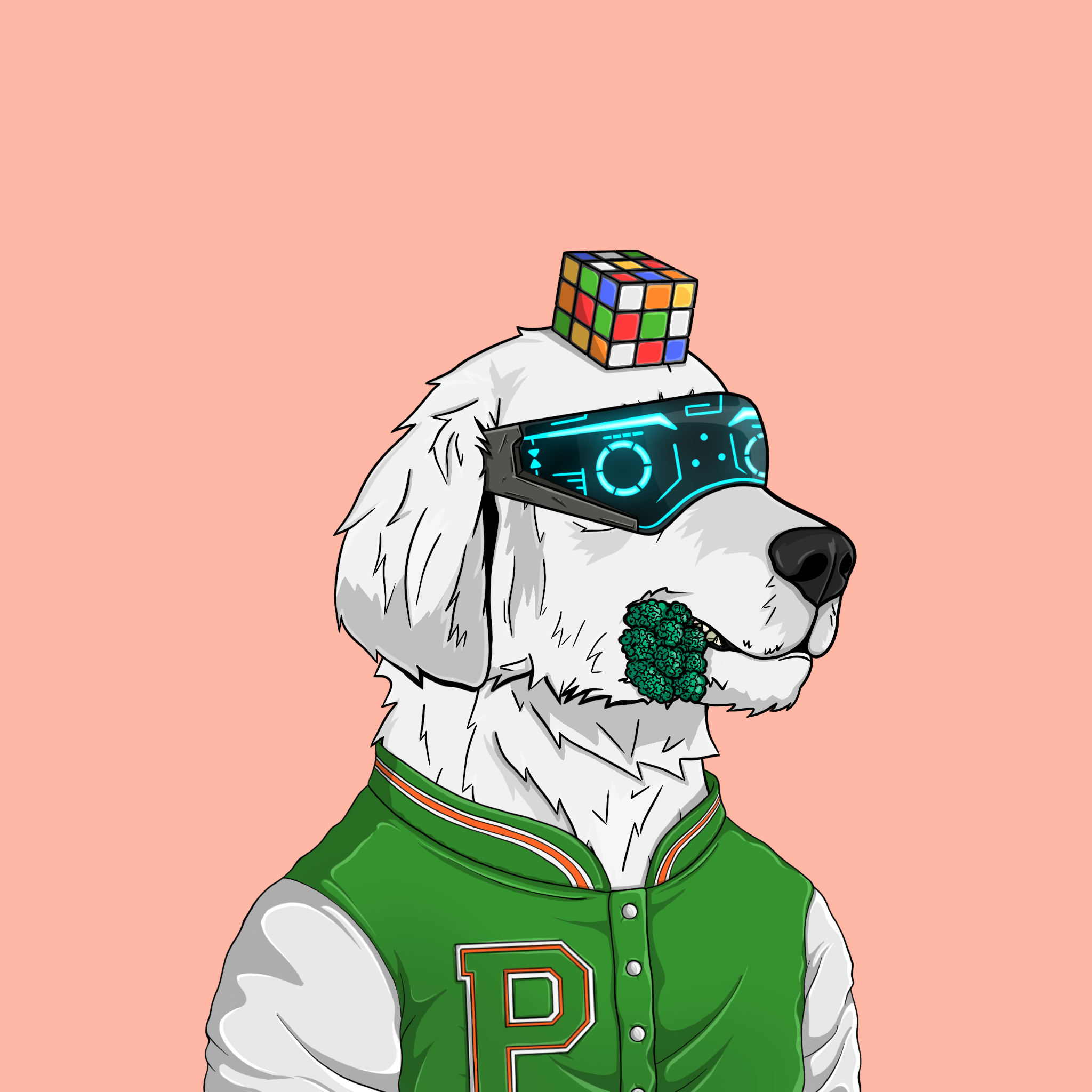 goodboi #3029 NFT on Algorand