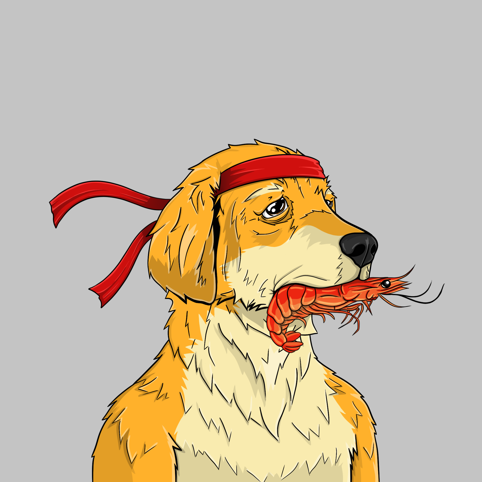 goodboi #1247 NFT on Algorand