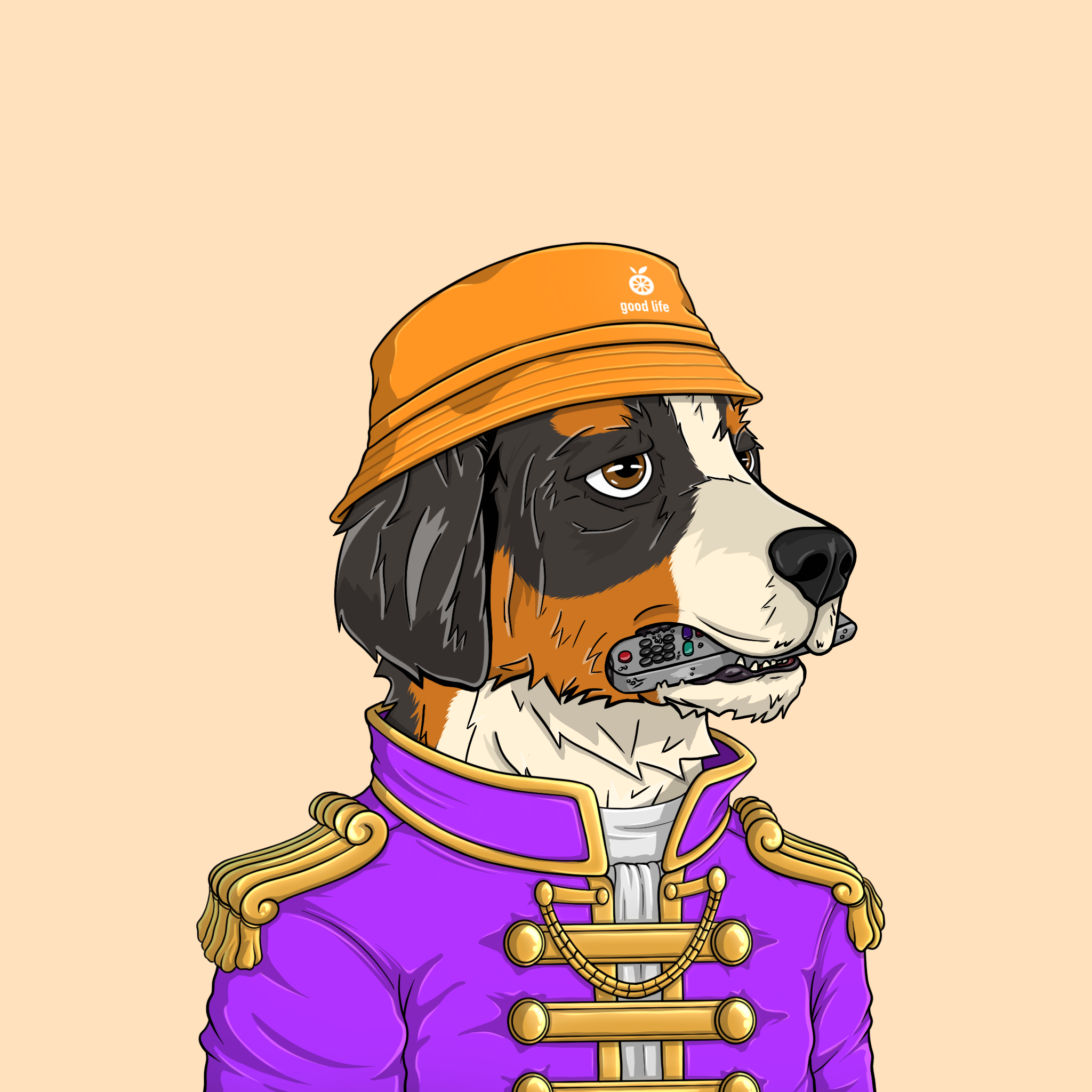 goodboi #1256 NFT on Algorand