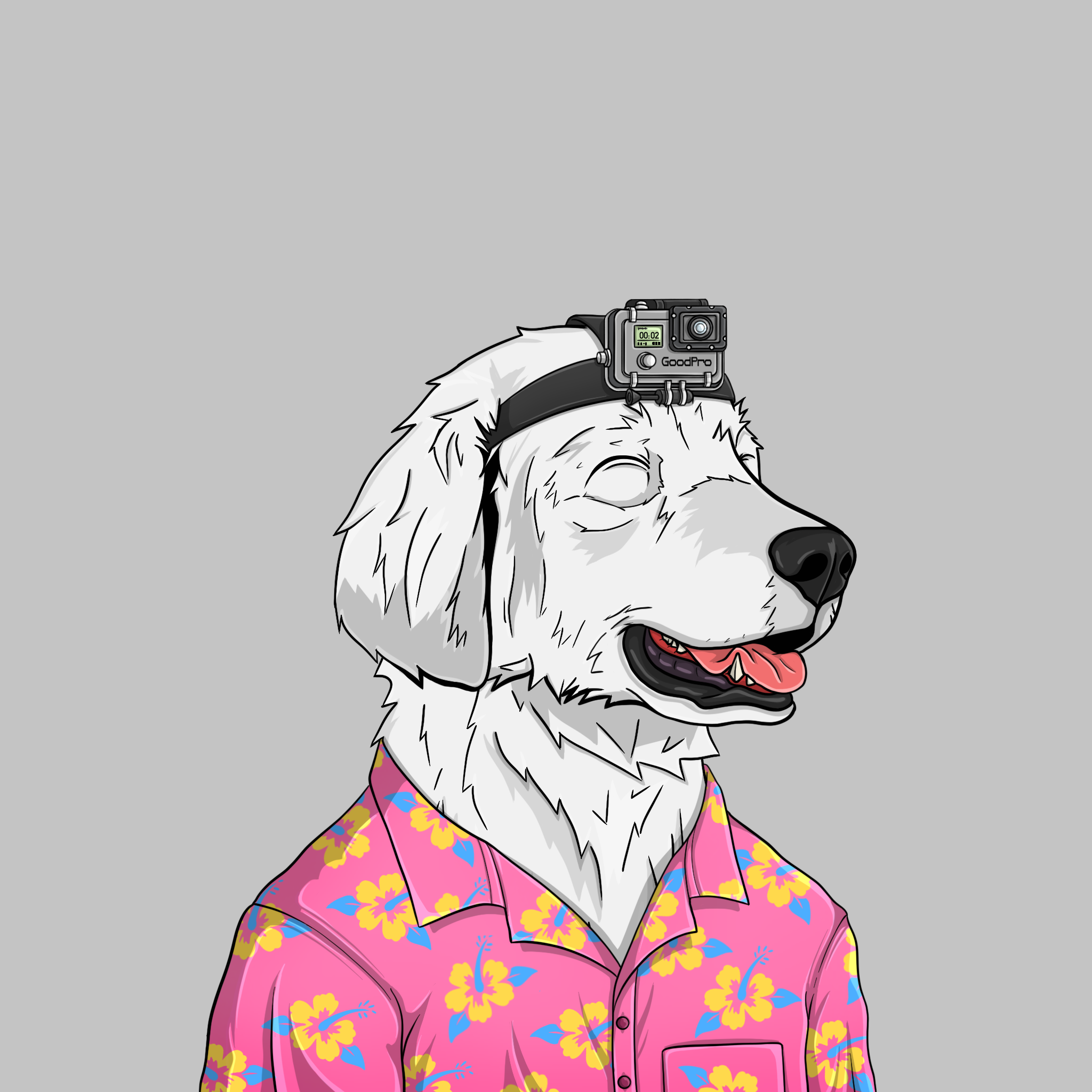 goodboi #1318 NFT on Algorand