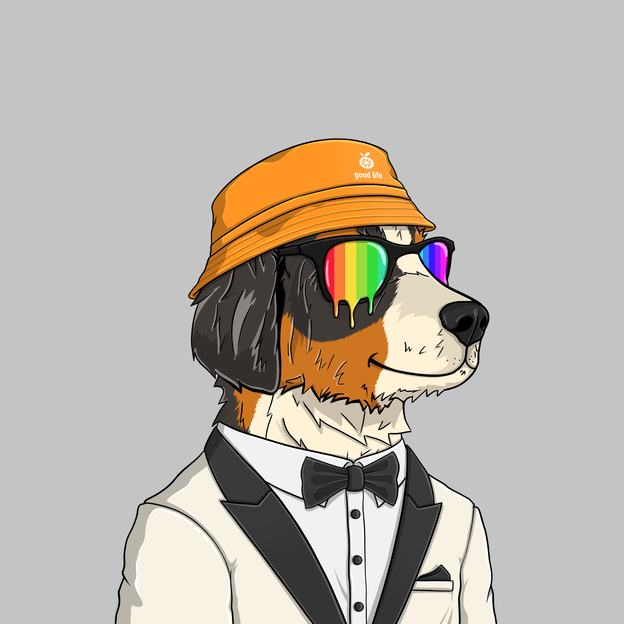 goodboi #1480 NFT on Algorand