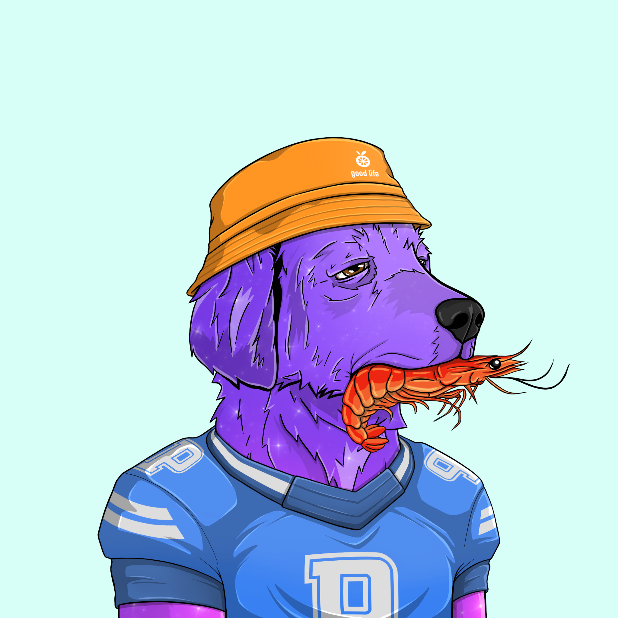 goodboi #1503 NFT on Algorand