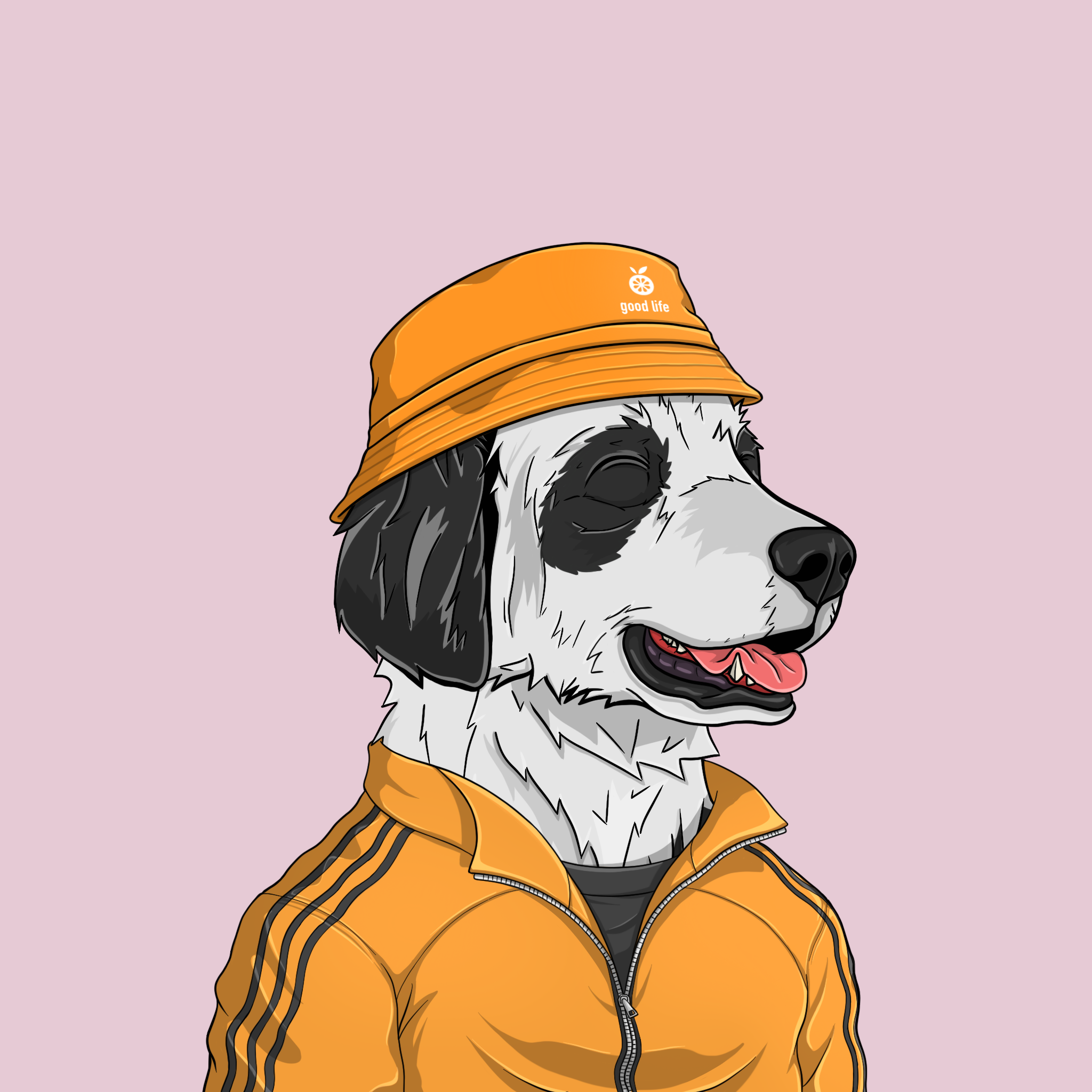 goodboi #1051 NFT on Algorand