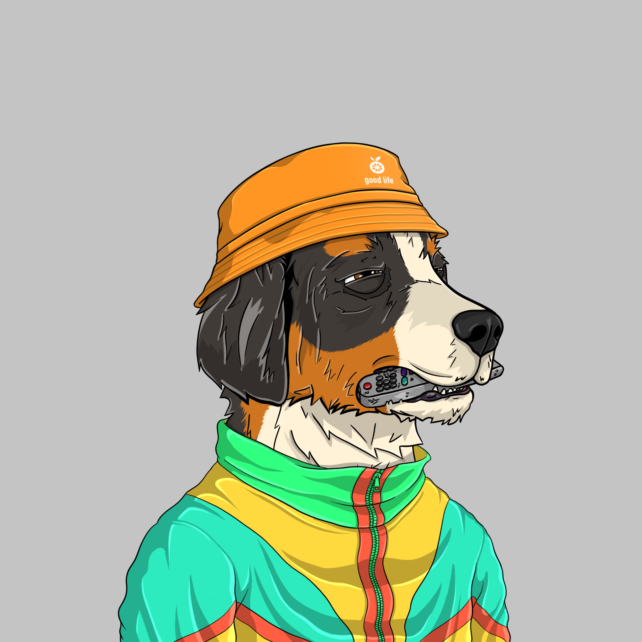 goodboi #1055 NFT on Algorand